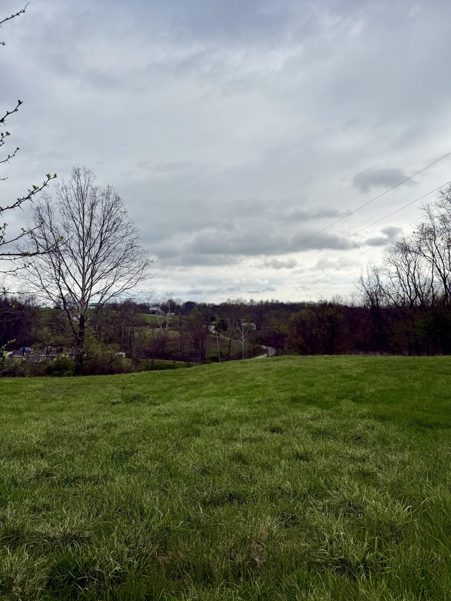 4107 Akin Lane Property Photo 9