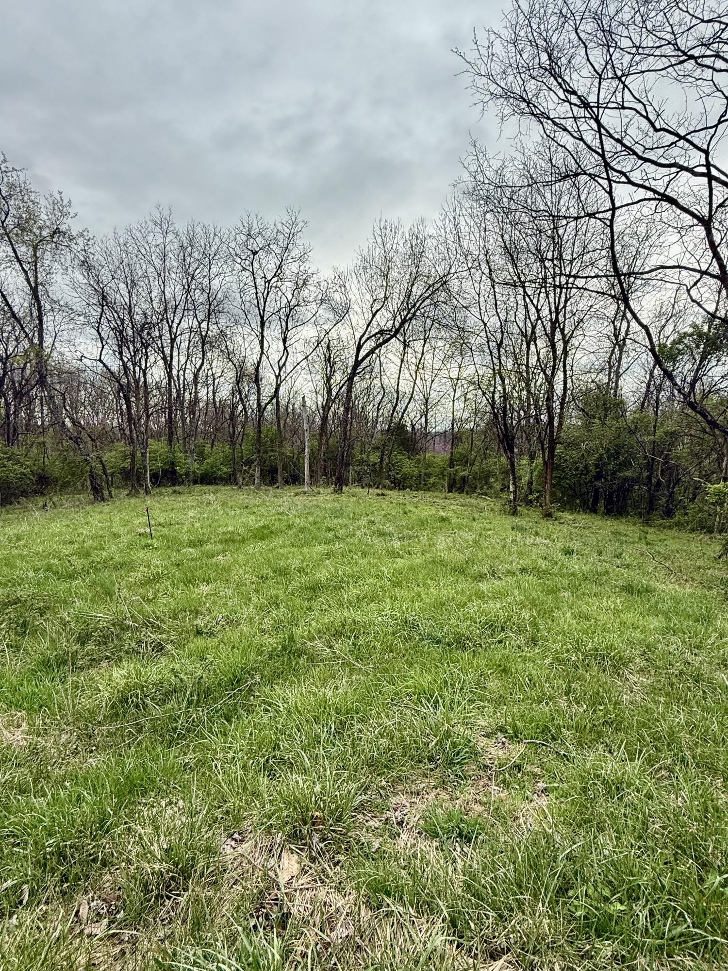 4107 Akin Lane Property Photo 11