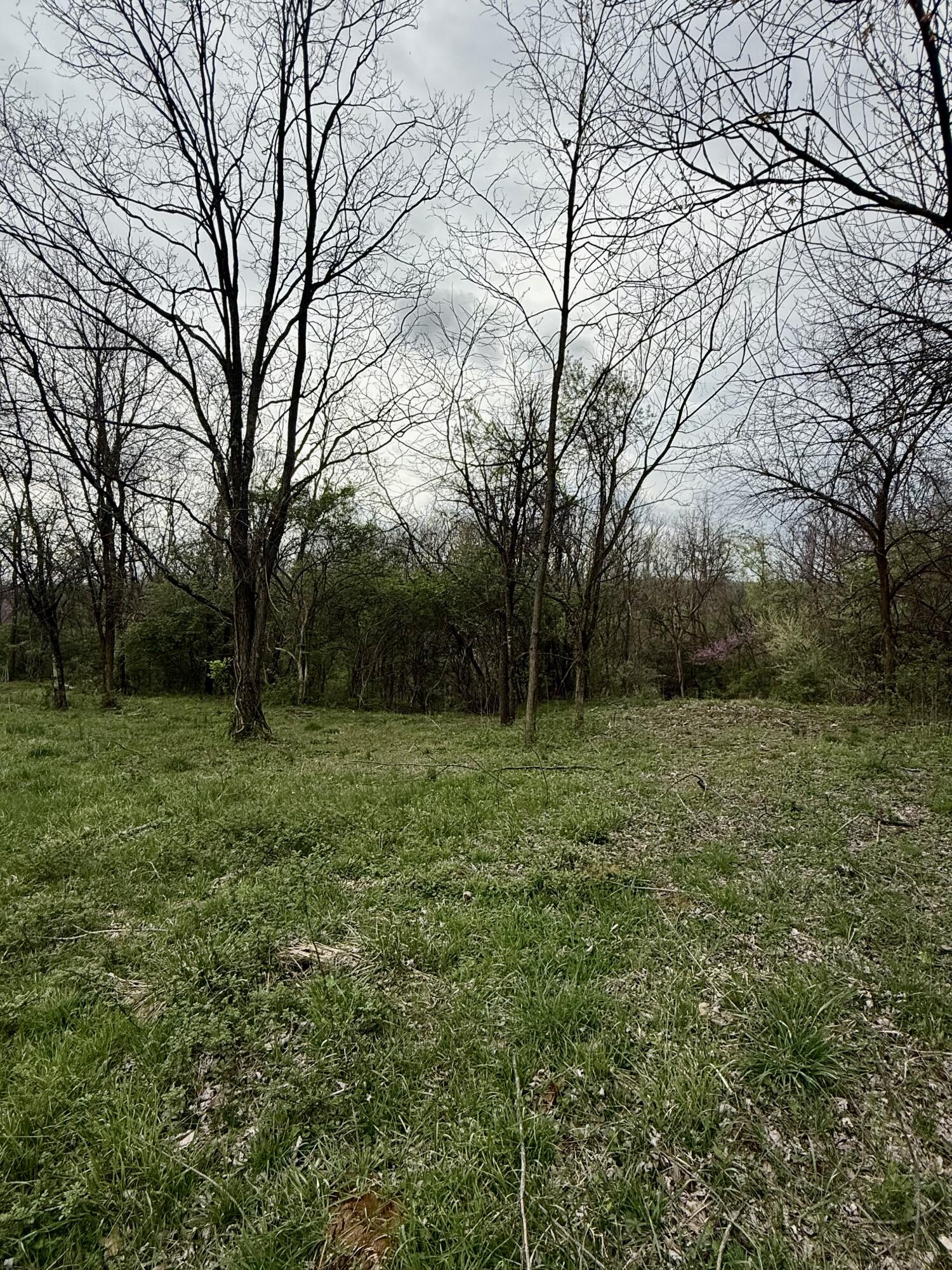 4107 Akin Lane Property Photo 12