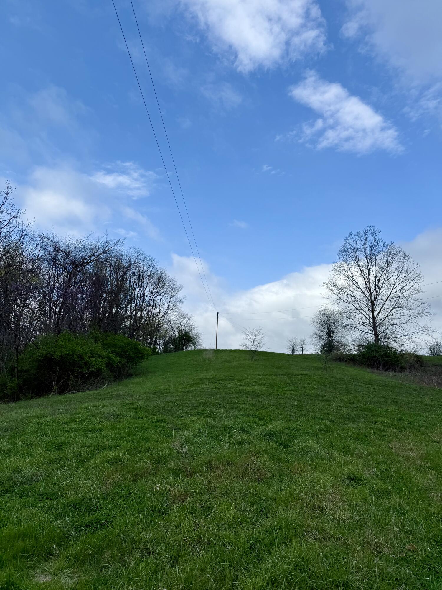 4107 Akin Lane Property Photo 13
