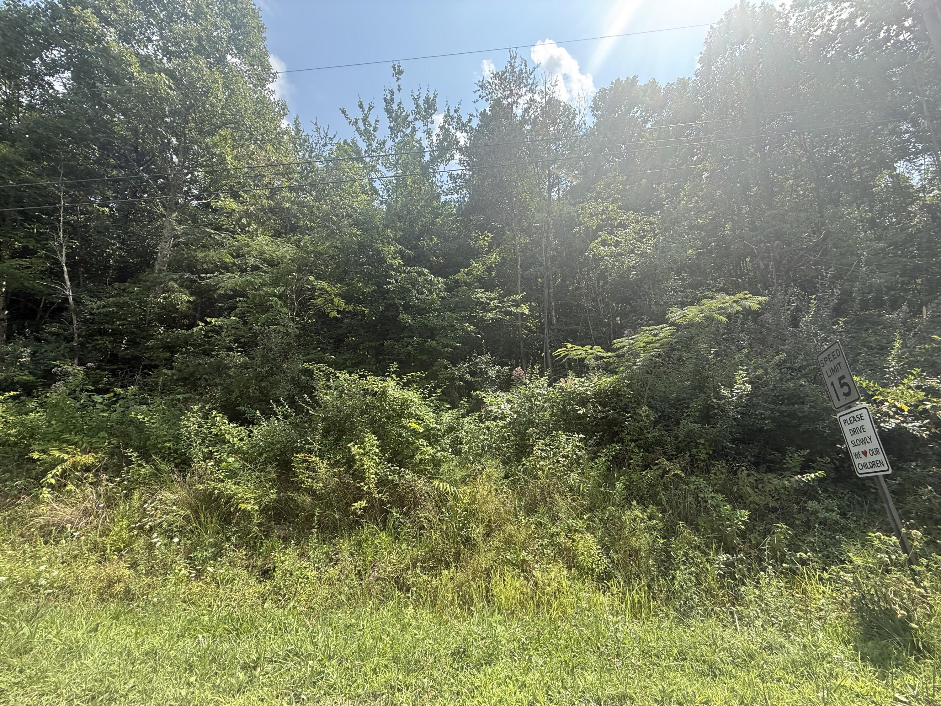 0 Fall Ln Lane Property Photo 1