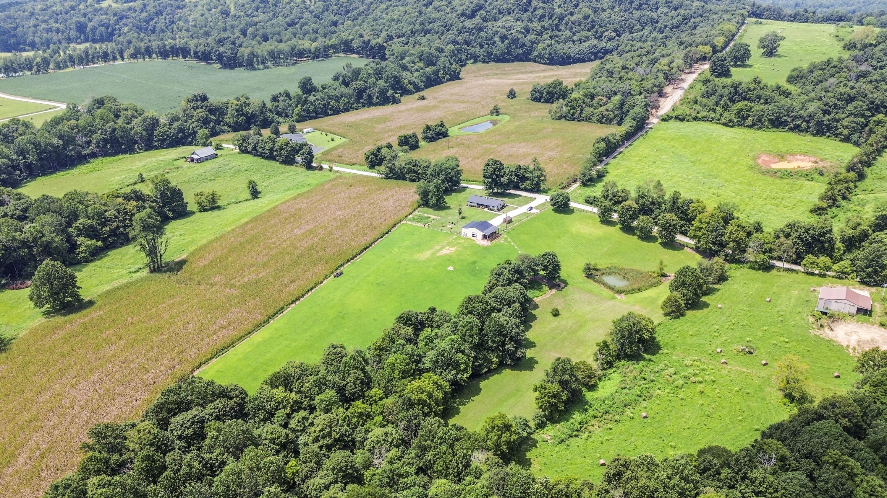 3686 Hwy 837 Property Photo 13