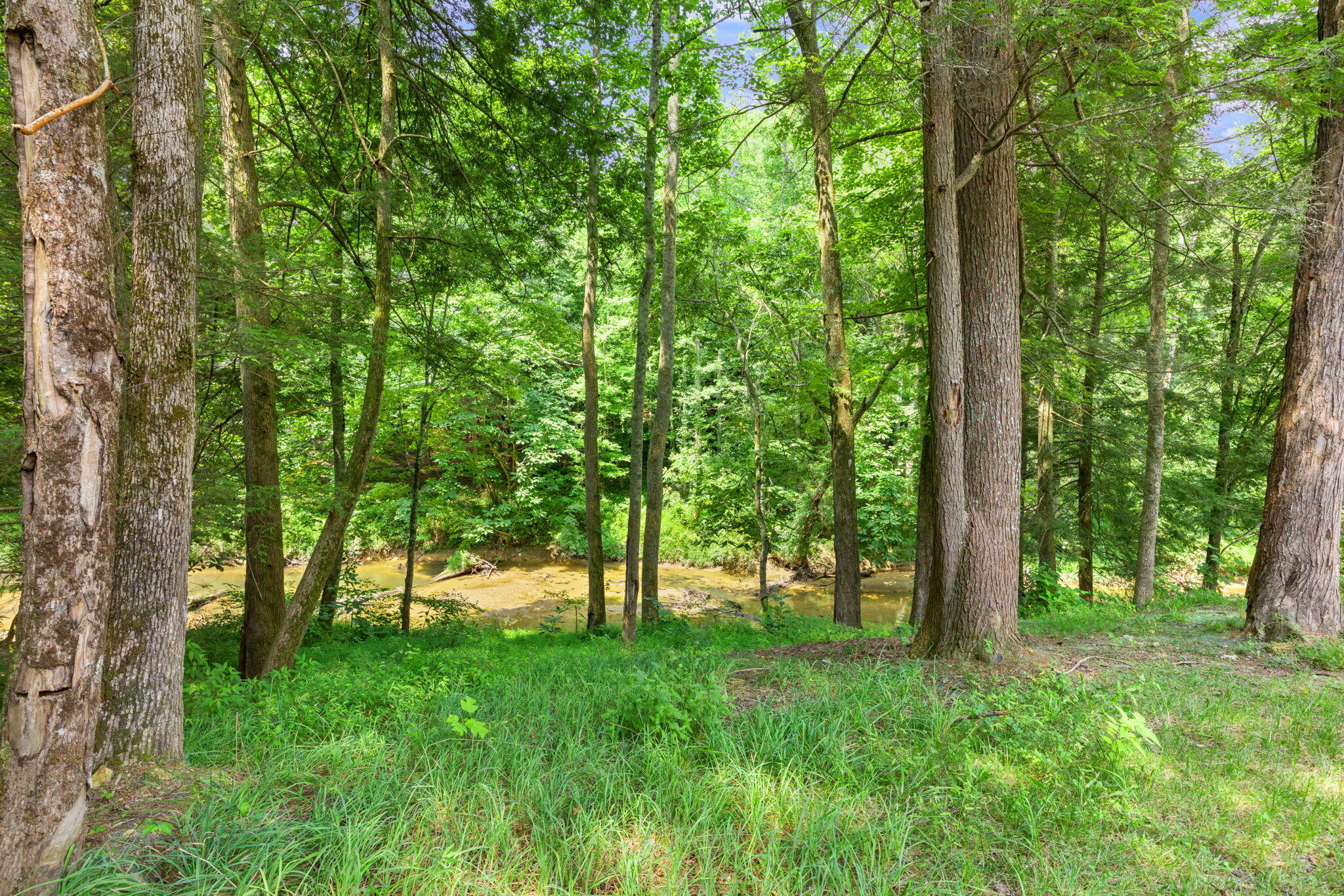 485 River Bend Drive Property Photo 67
