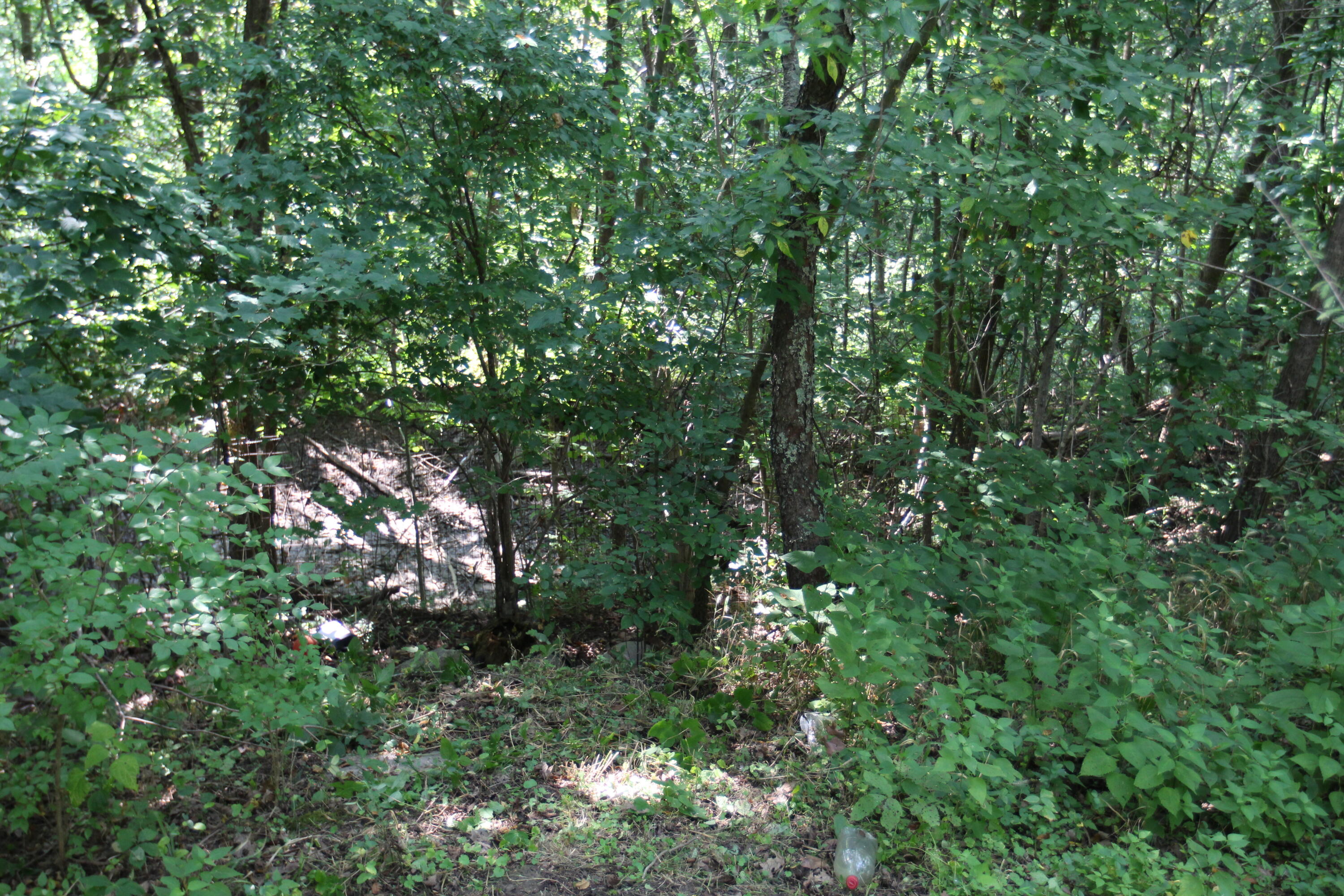 3420 Flat Creek Road Property Photo 4