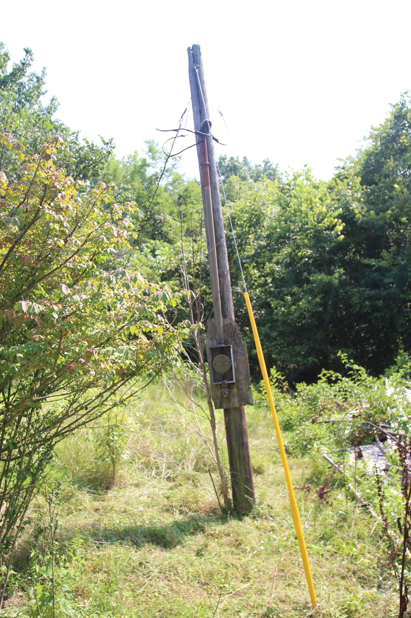 3420 Flat Creek Road Property Photo 6