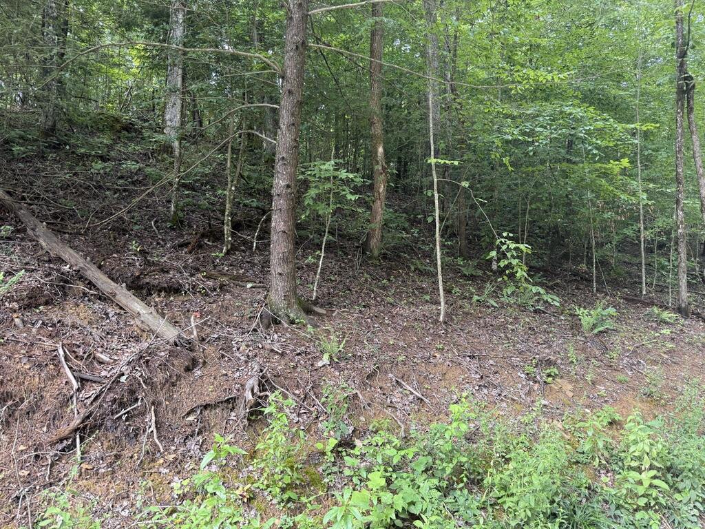 35 Low Ridge Road Property Photo 1