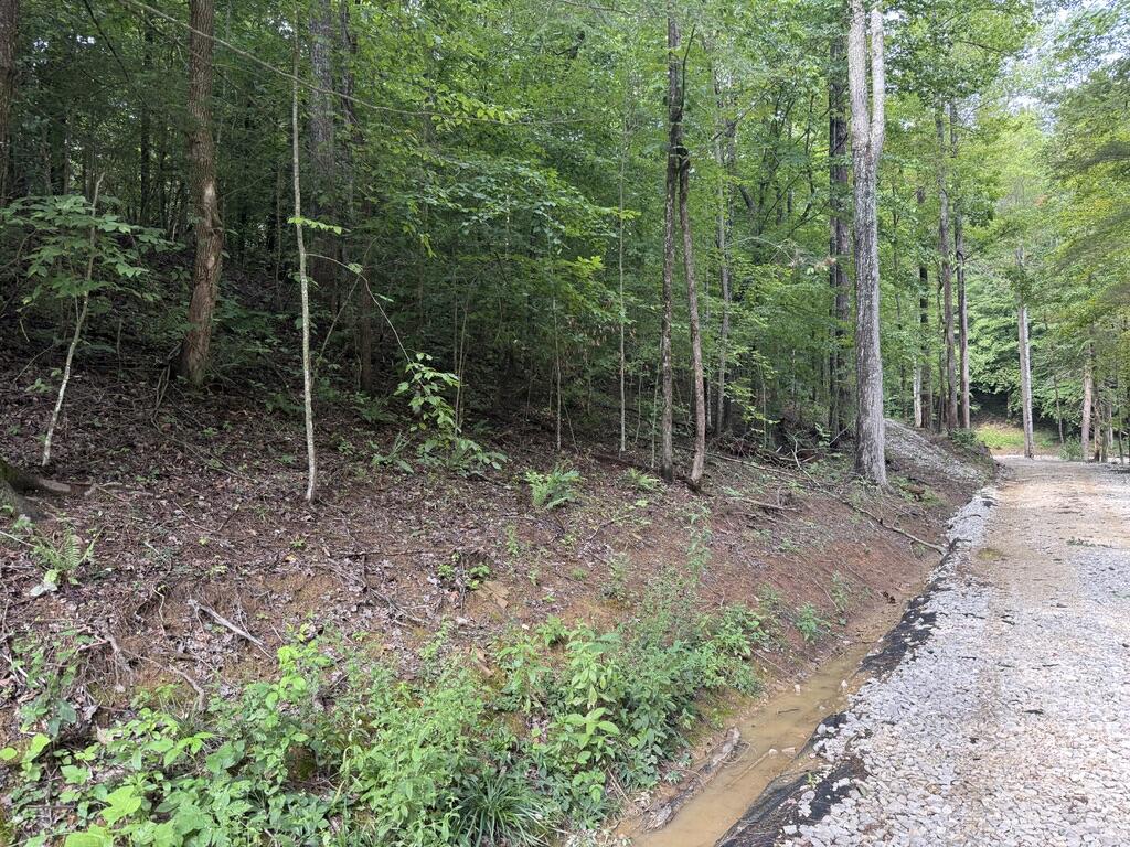 35 Low Ridge Road Property Photo 2