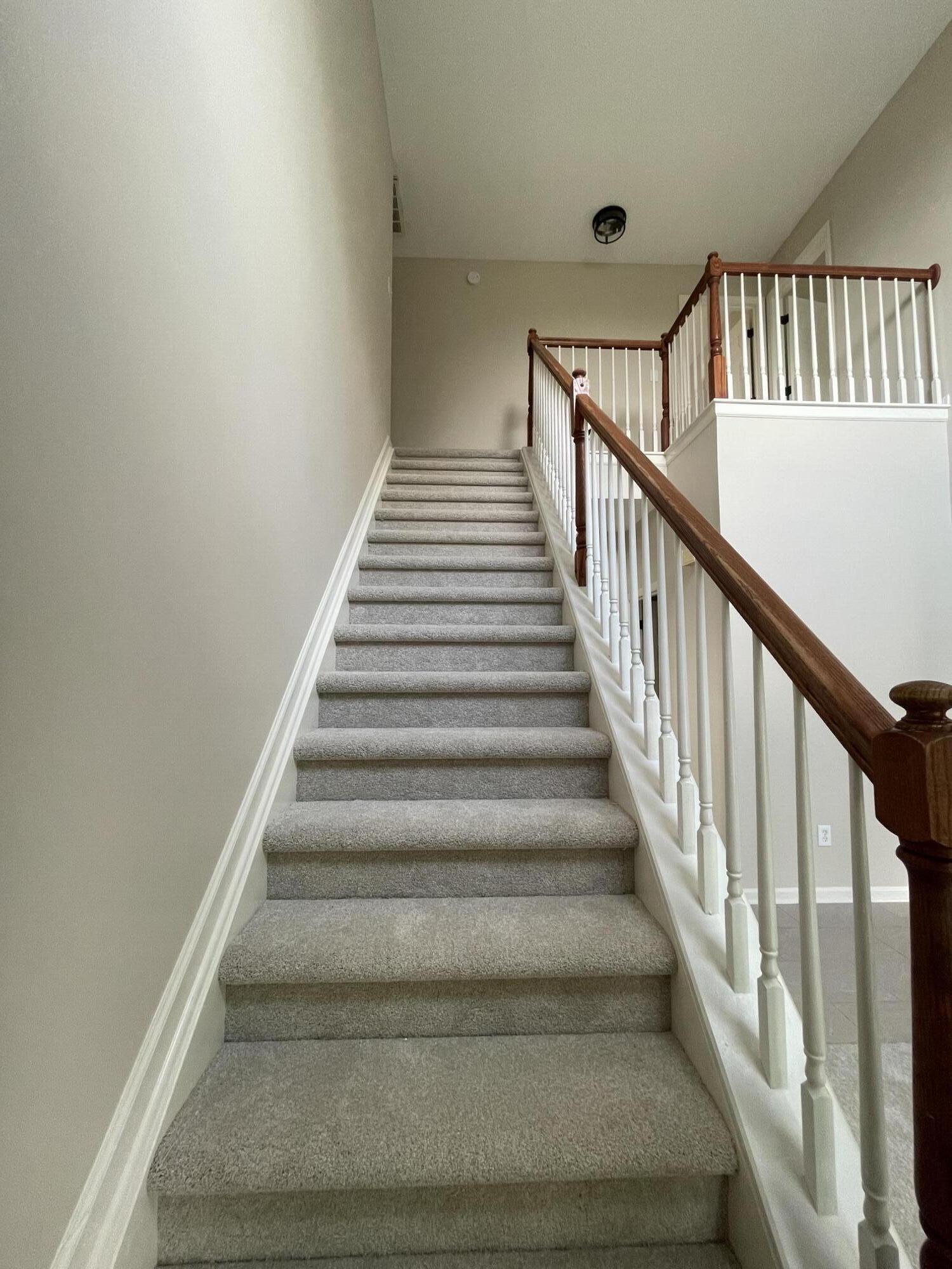 100 Vetch Drive Property Photo 22