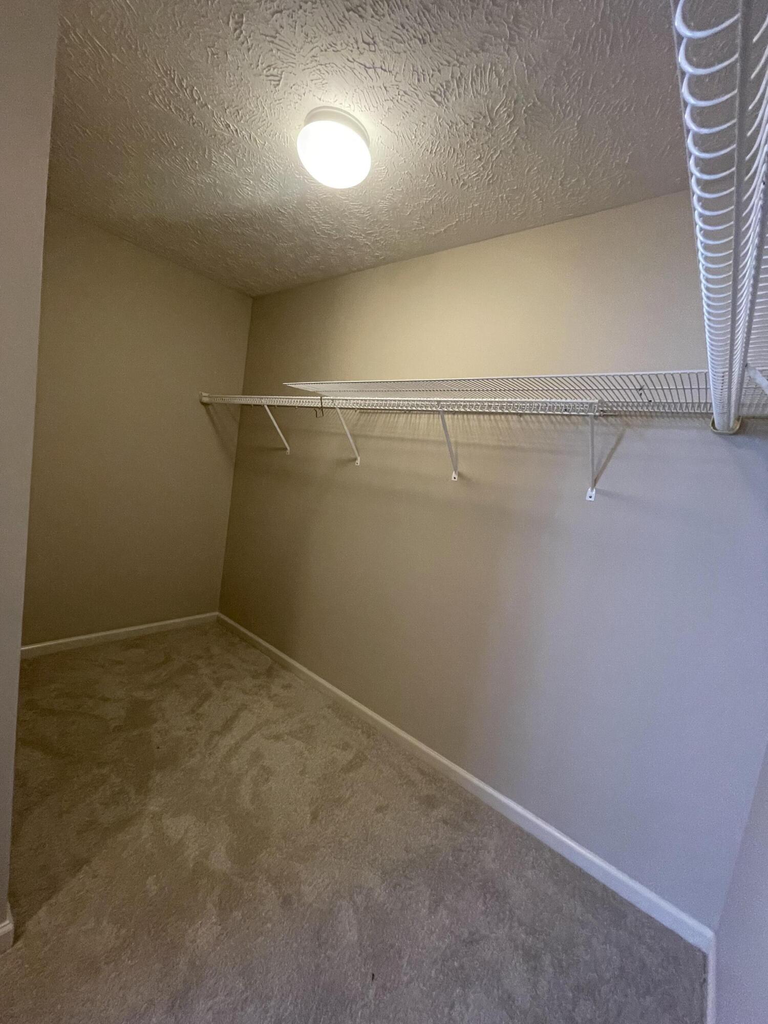 100 Vetch Drive Property Photo 27