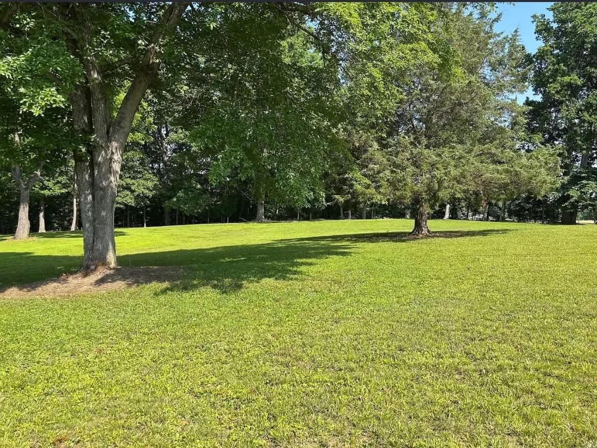 1 Cherry Loop Property Photo 3