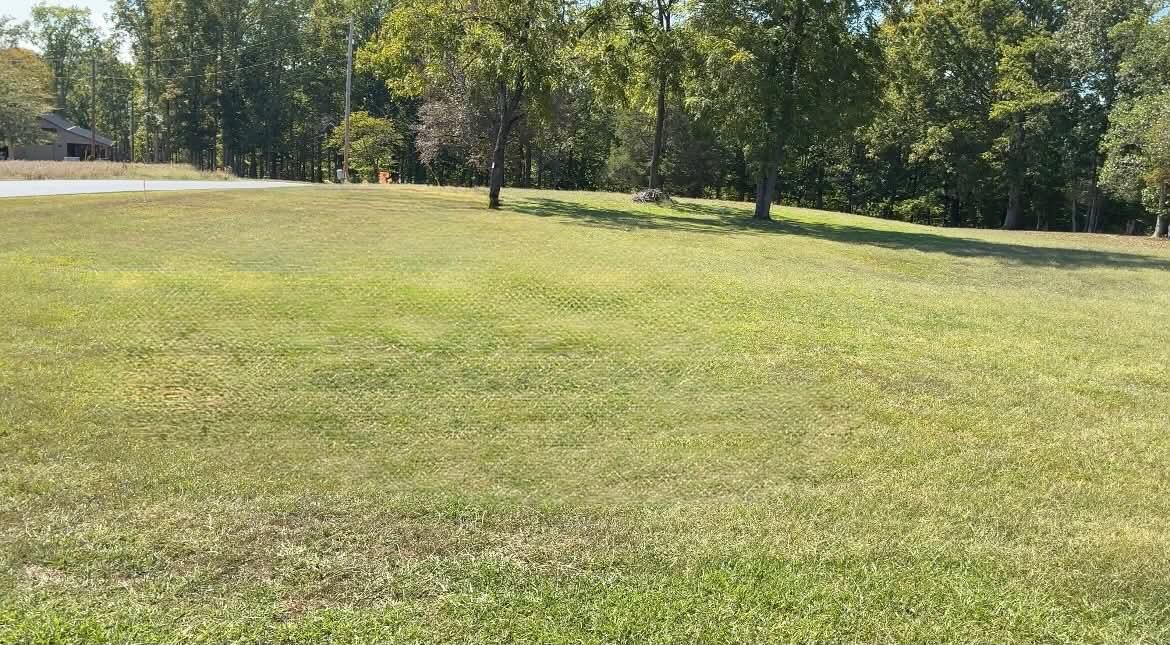1 Cherry Loop Property Photo 5