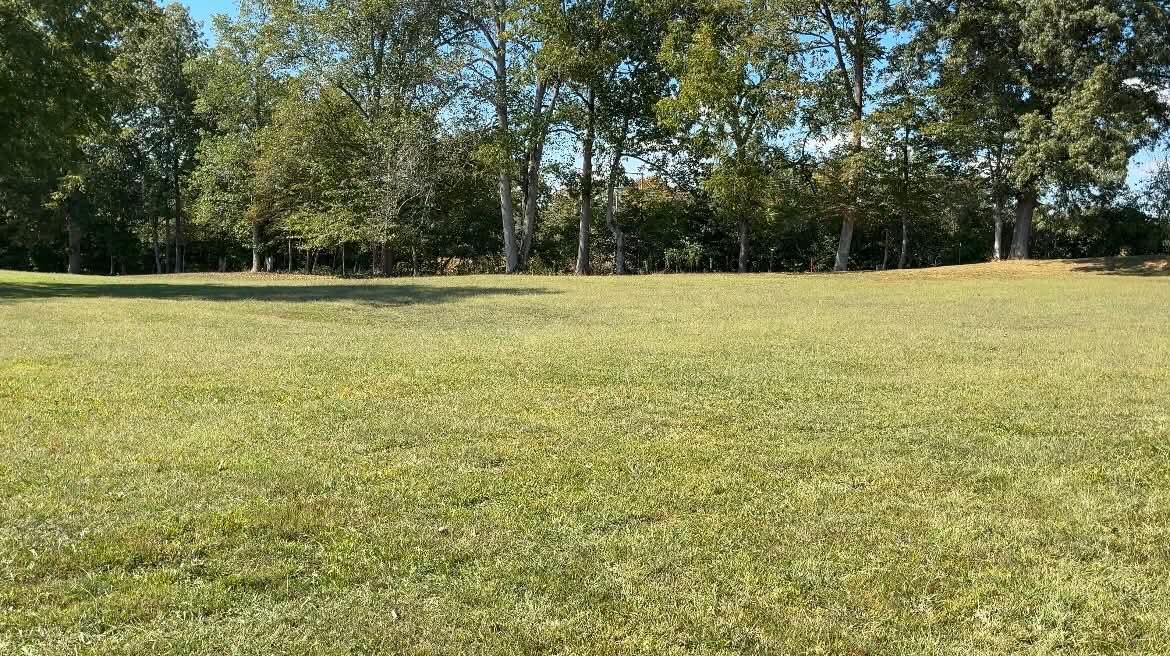 1 Cherry Loop Property Photo 6
