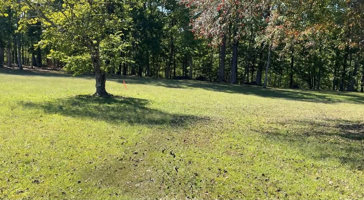 1 Cherry Loop Property Photo 9