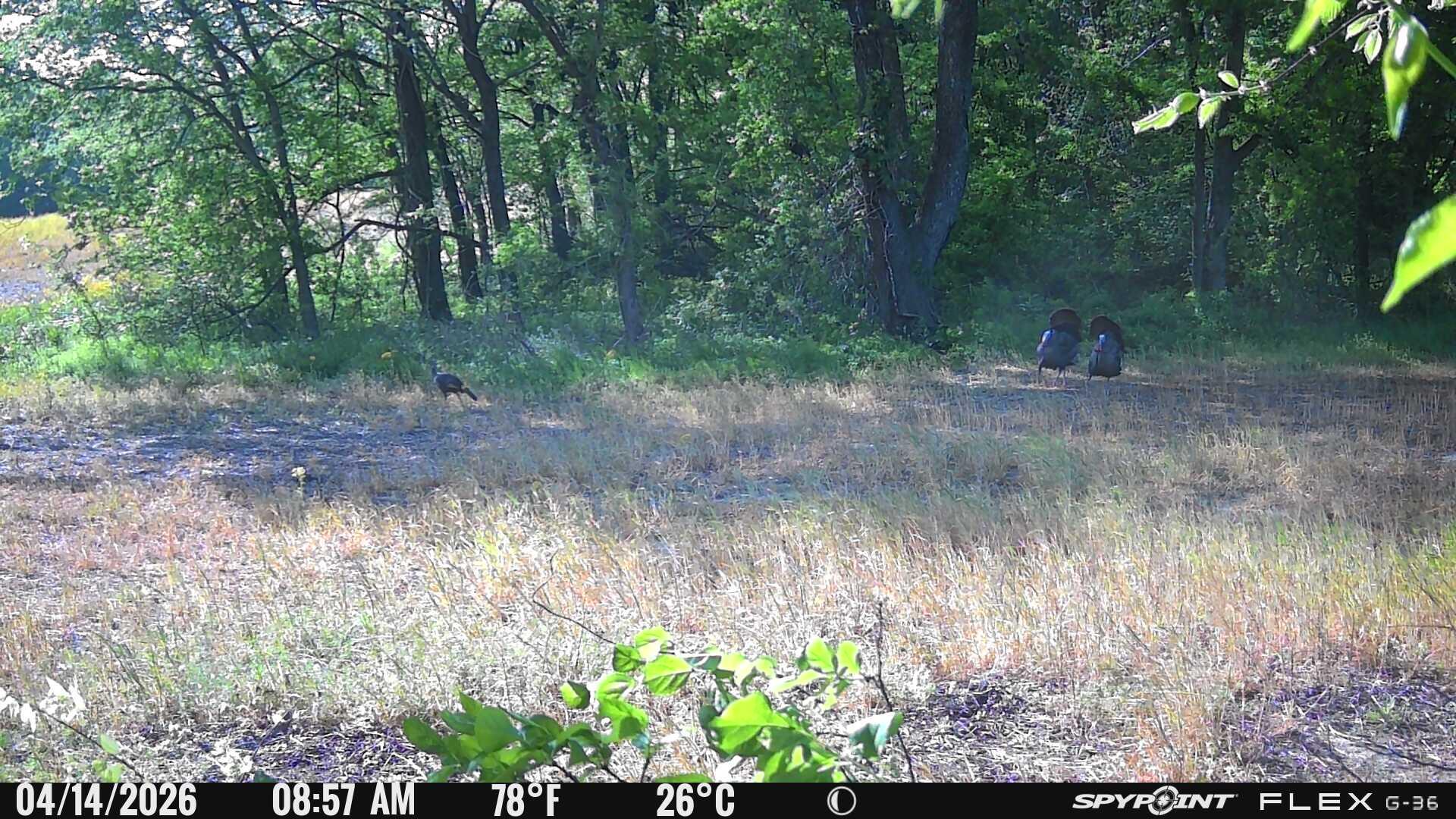 1525 Mckendree Church Road Tract 1 Property Photo 38