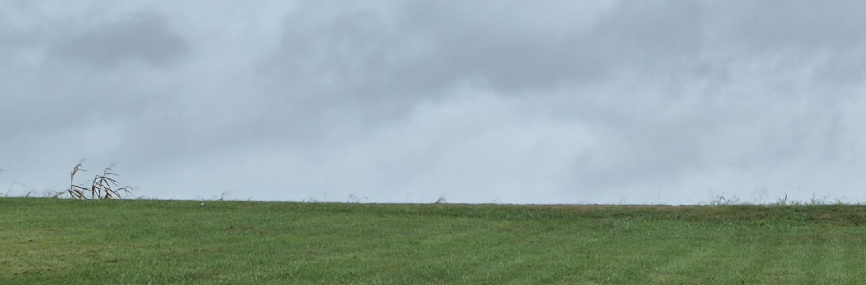 575 E 575 E Langdon Rd Road Property Photo 1