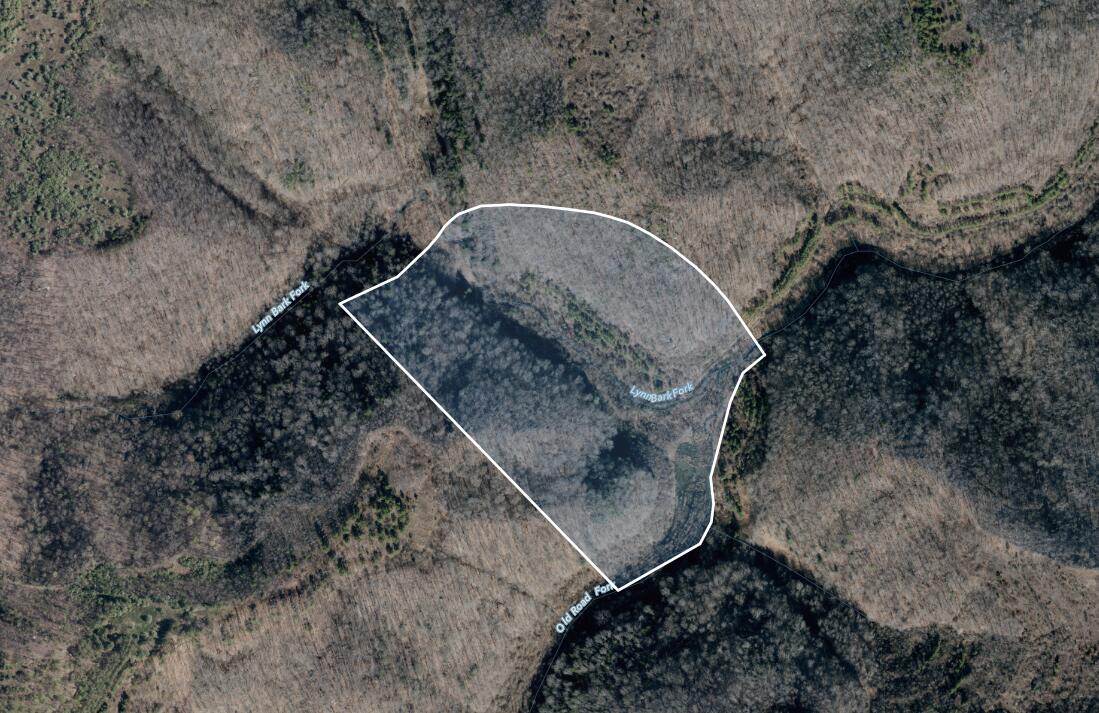 0 Lynn Bark Fork Road Property Photo 1