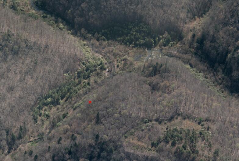 0 Lynn Bark Fork Road Property Photo 2