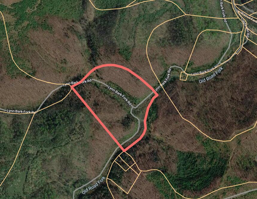 0 Lynn Bark Fork Road Property Photo 4