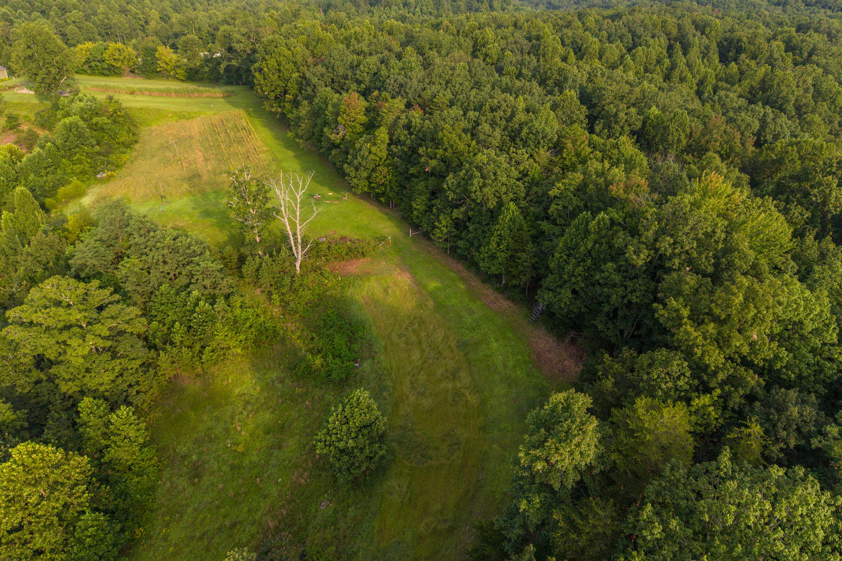 1662 S Tree Tower Road Property Photo 72