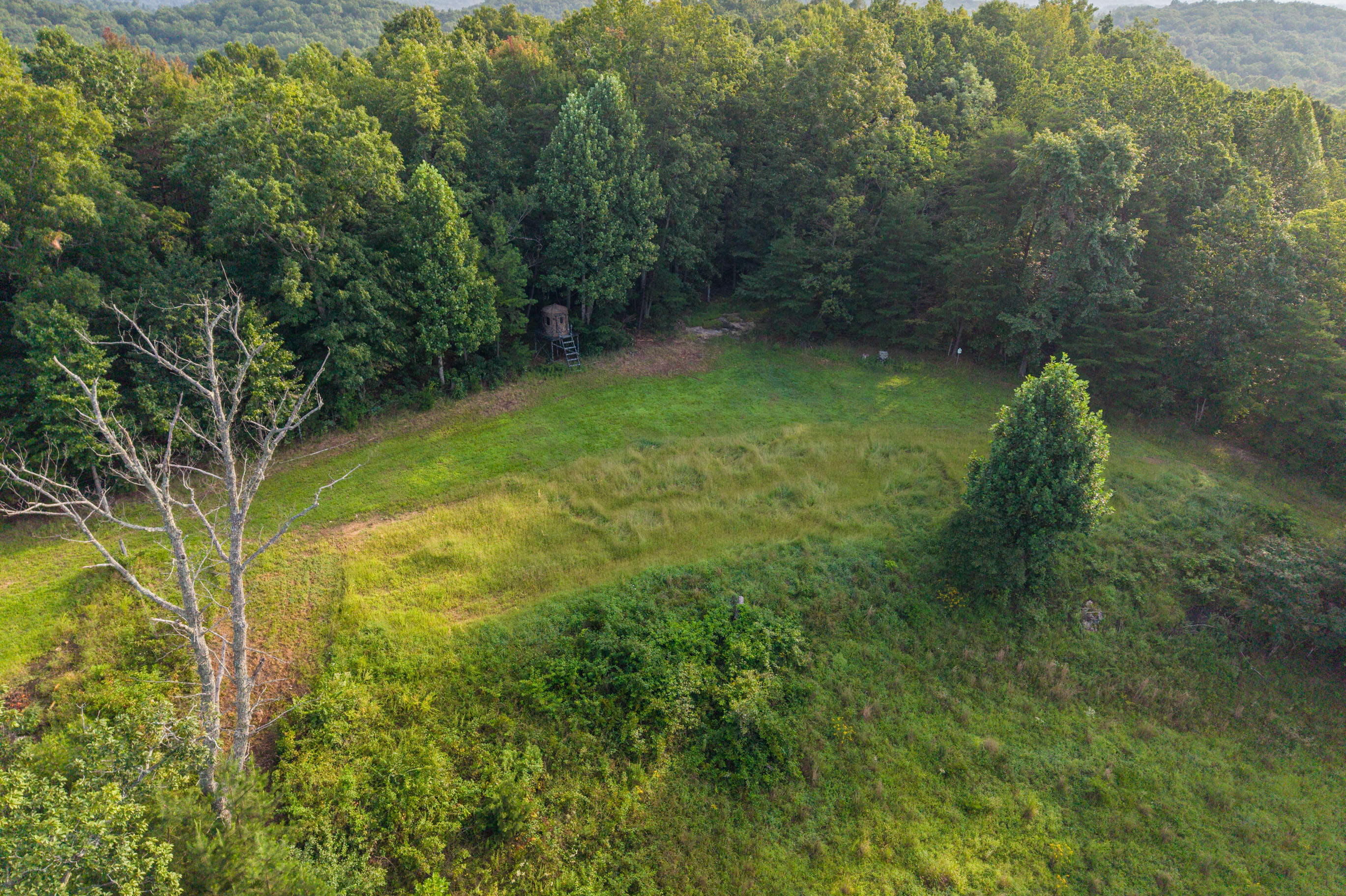 1662 S Tree Tower Road Property Photo 74