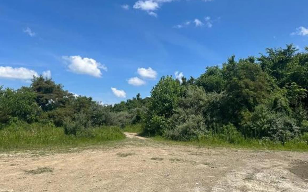 0 Sugar Camp Branch Rd. Property Photo 6