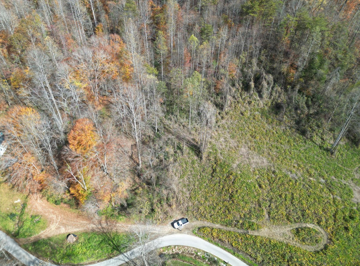 0 Sugar Camp Branch Rd. Property Photo 7