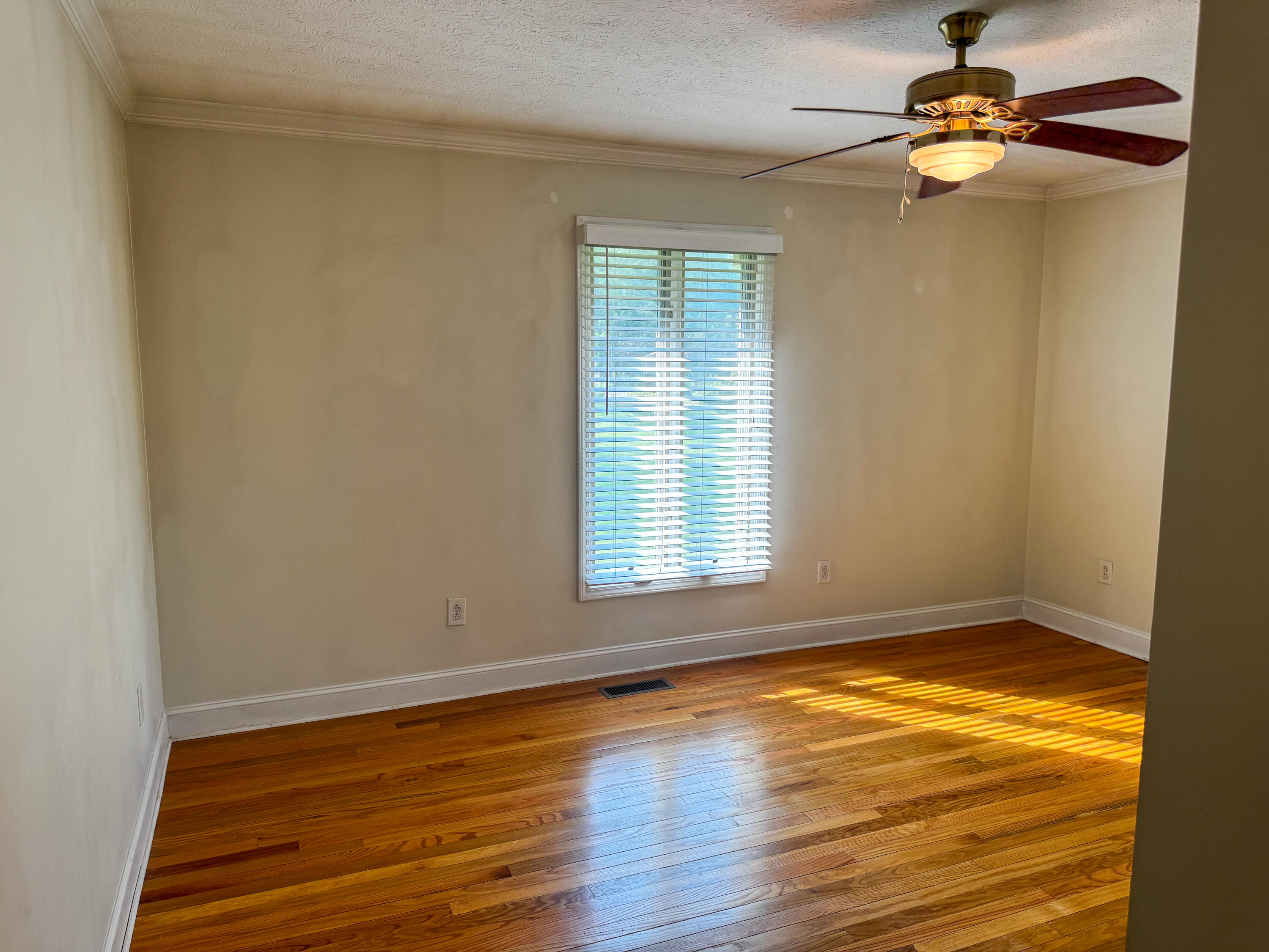 79 Hughes Road Property Photo 23