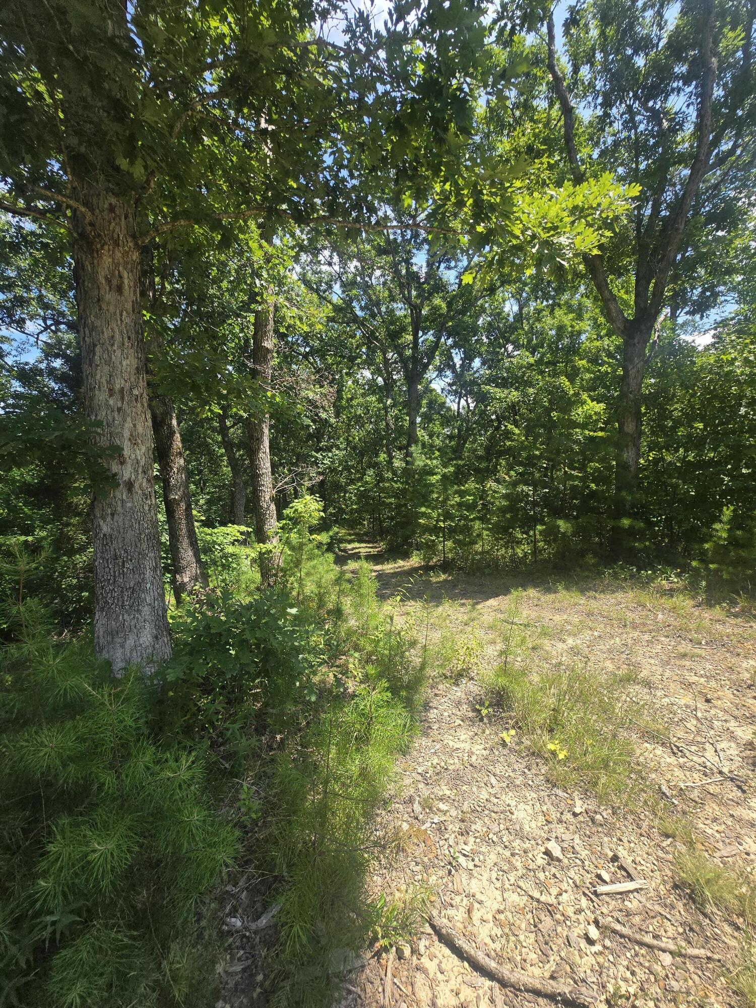 9999 Millstone Road Property Photo 3