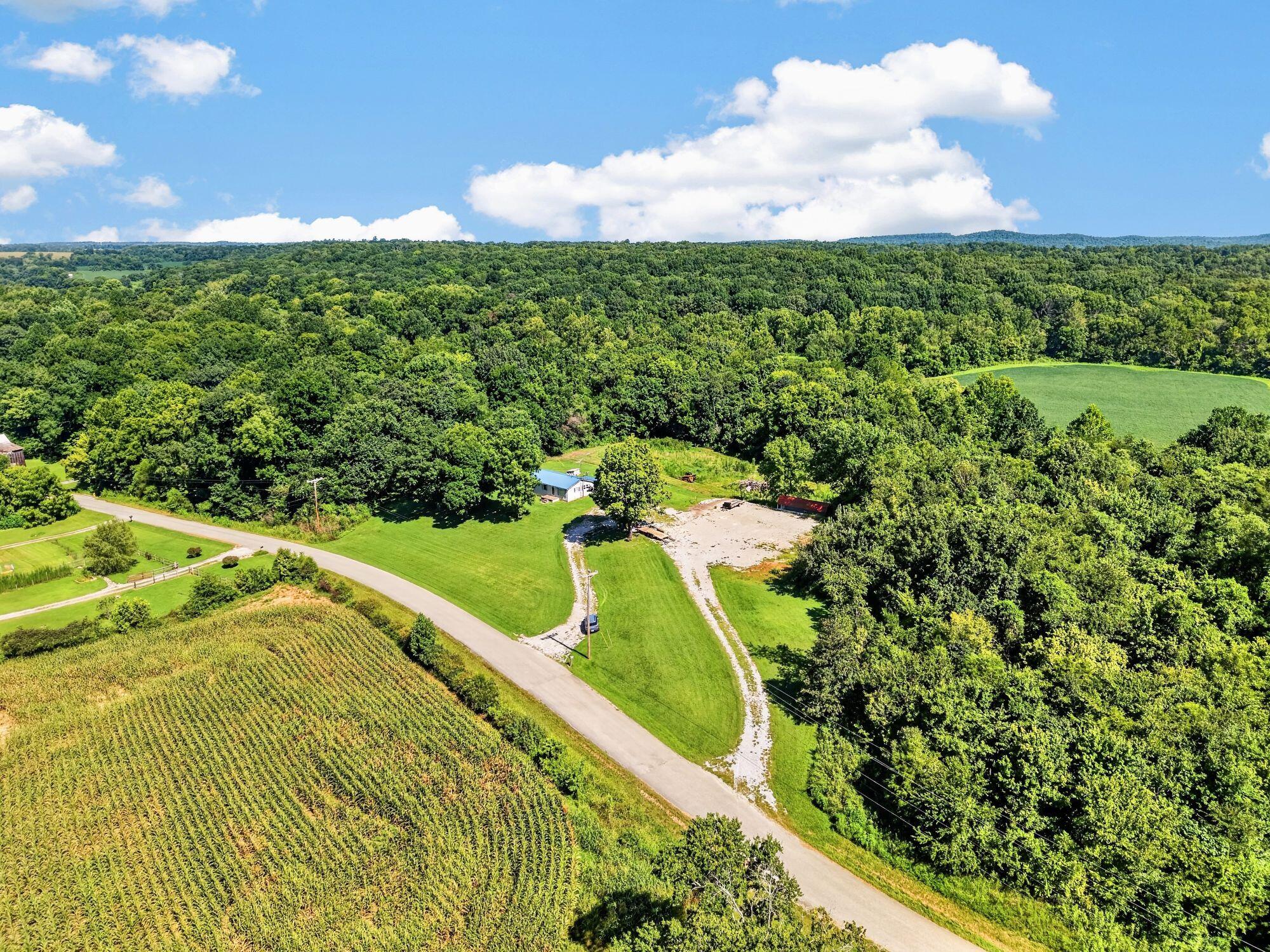 13067 Johnson Mill Road Property Photo 16