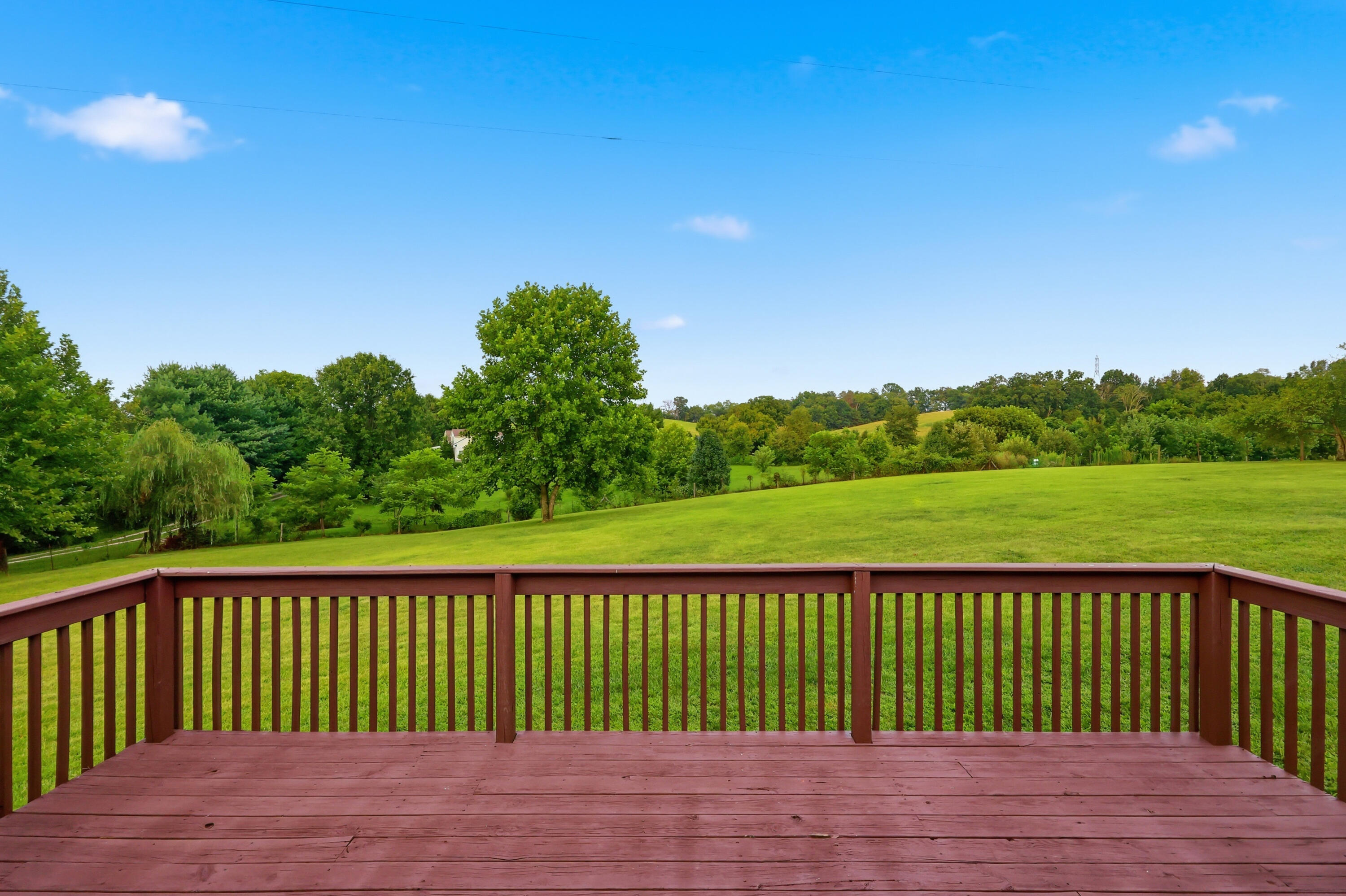 1279 Rice Road Property Photo 77