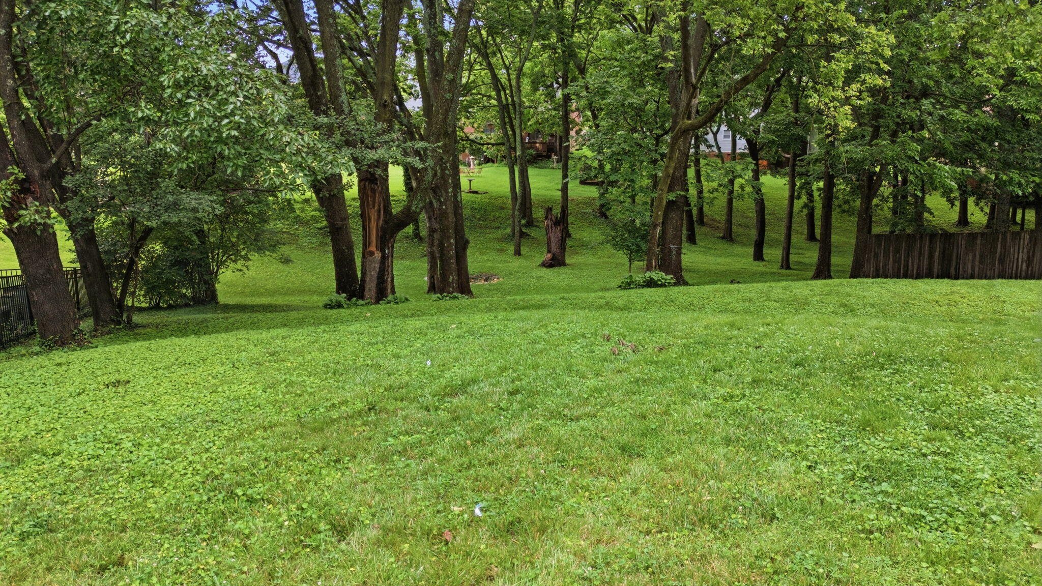 2441 Doubletree Court Property Photo 77