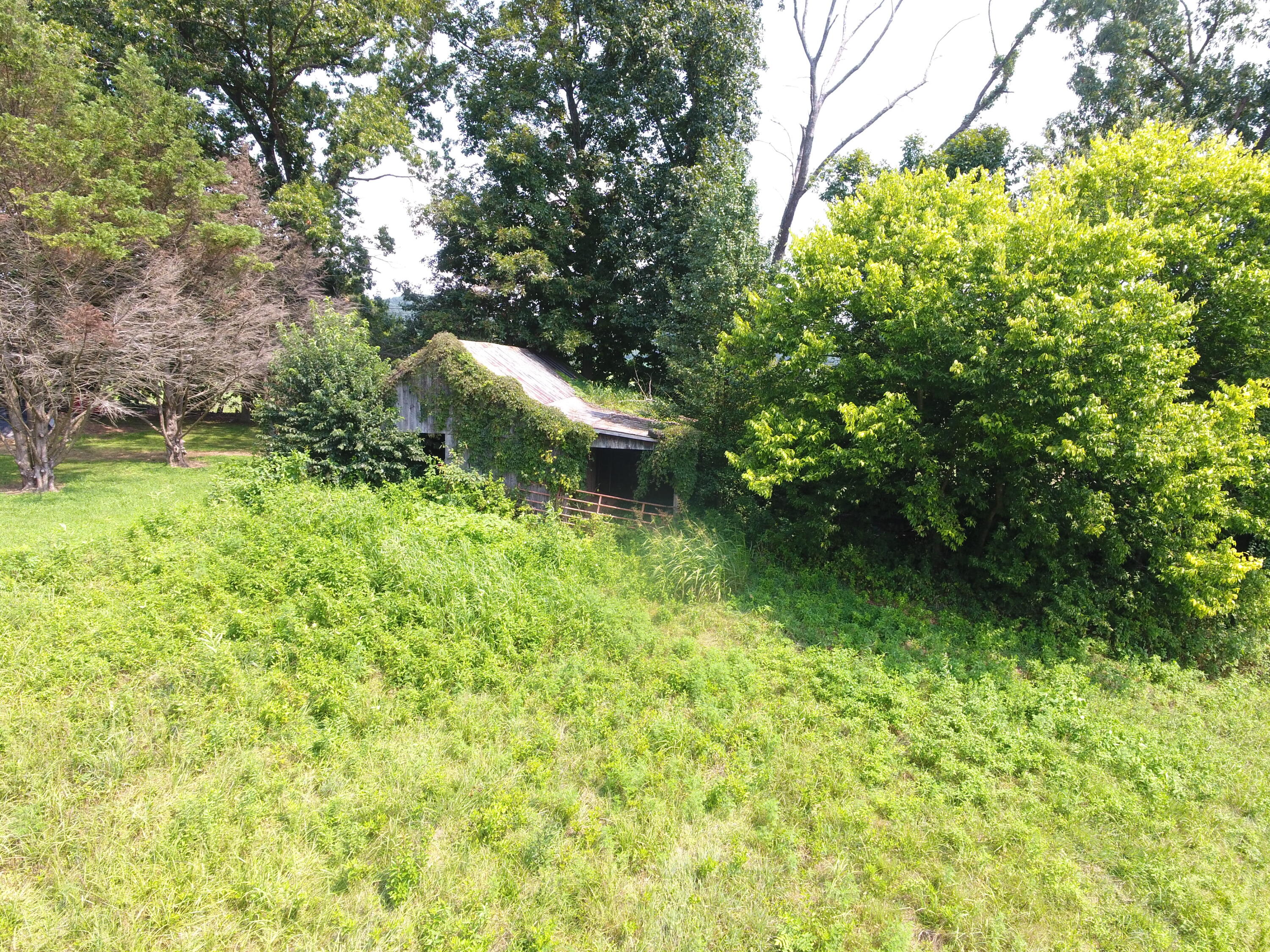 100 Buffalo Trace Property Photo 8