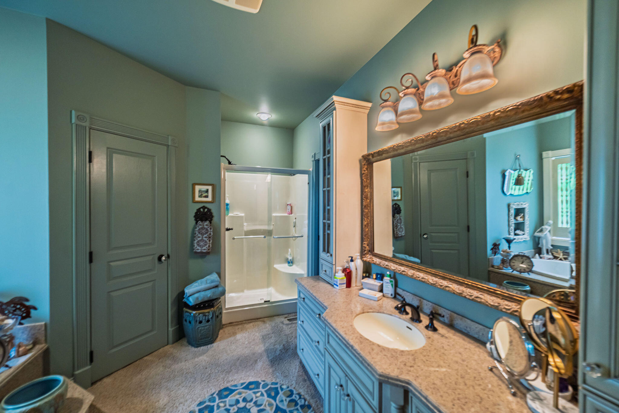 395 Wildcat Trace Property Photo 66