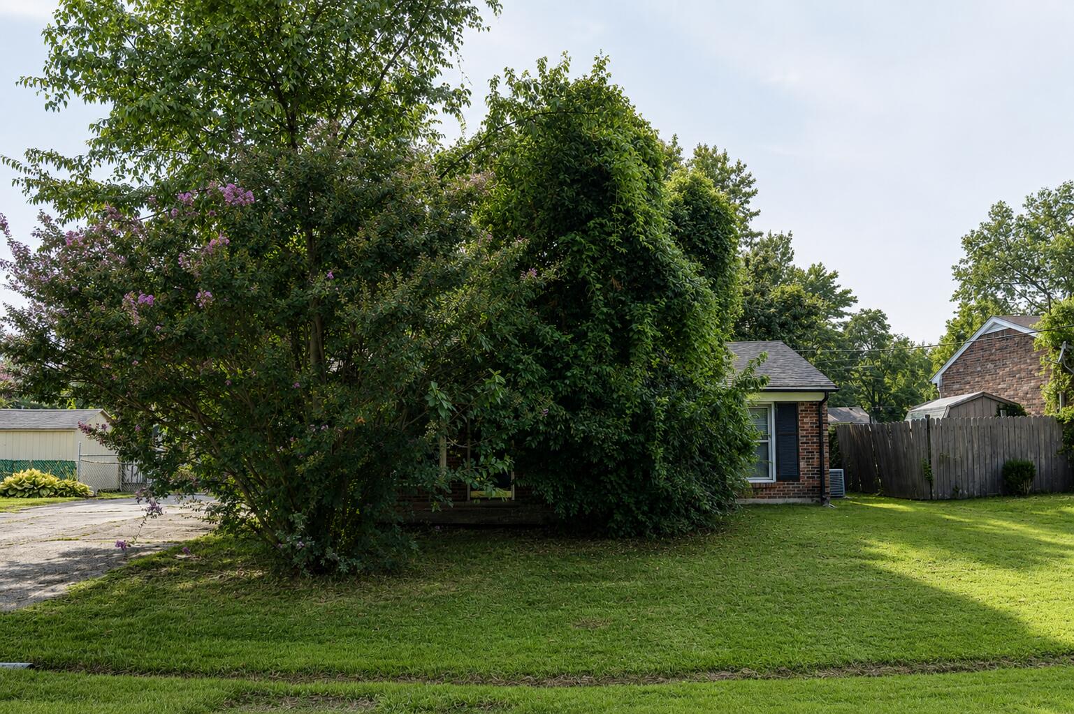 7608 Pintail Drive Property Photo 3