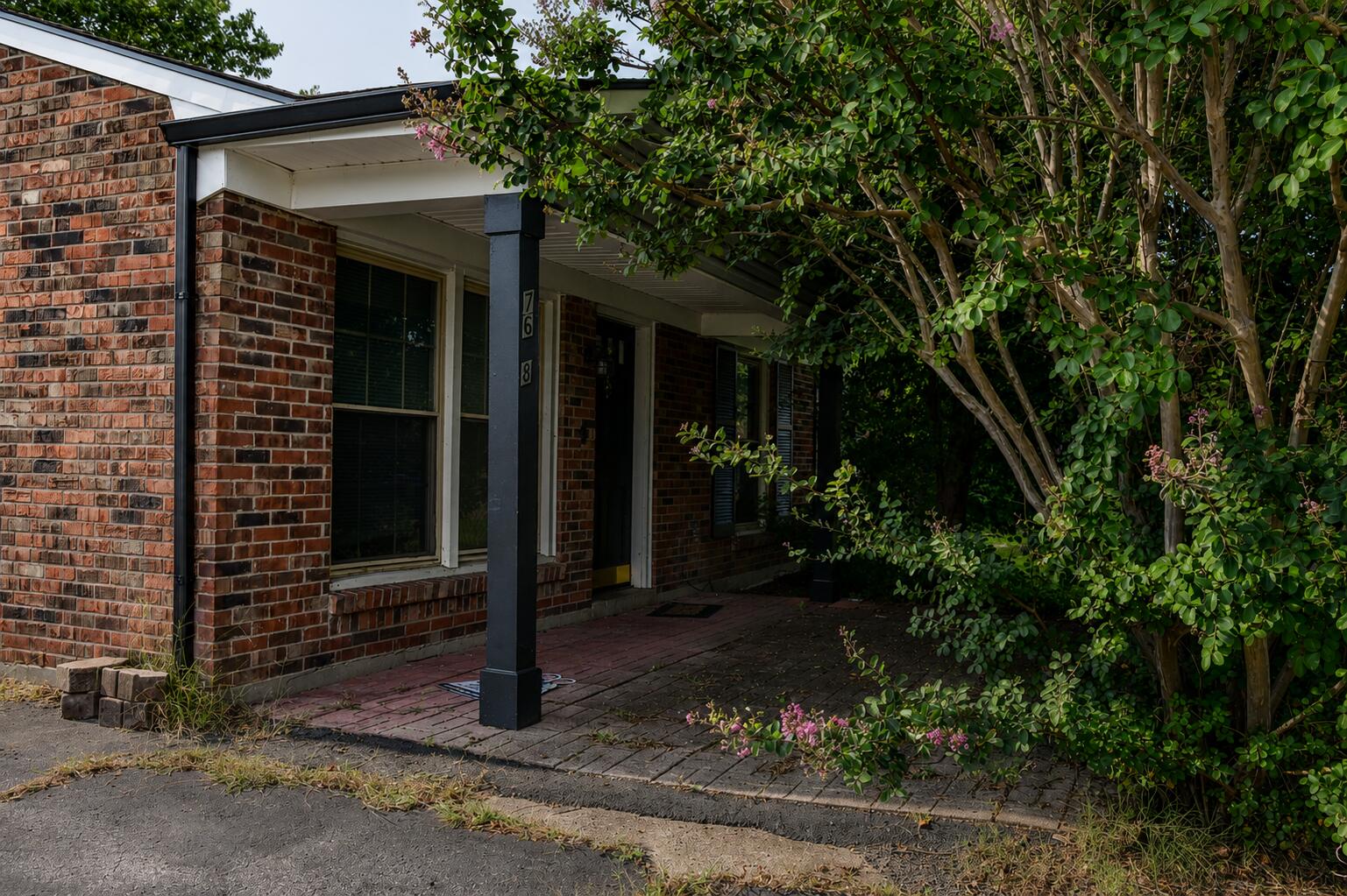 7608 Pintail Drive Property Photo 3