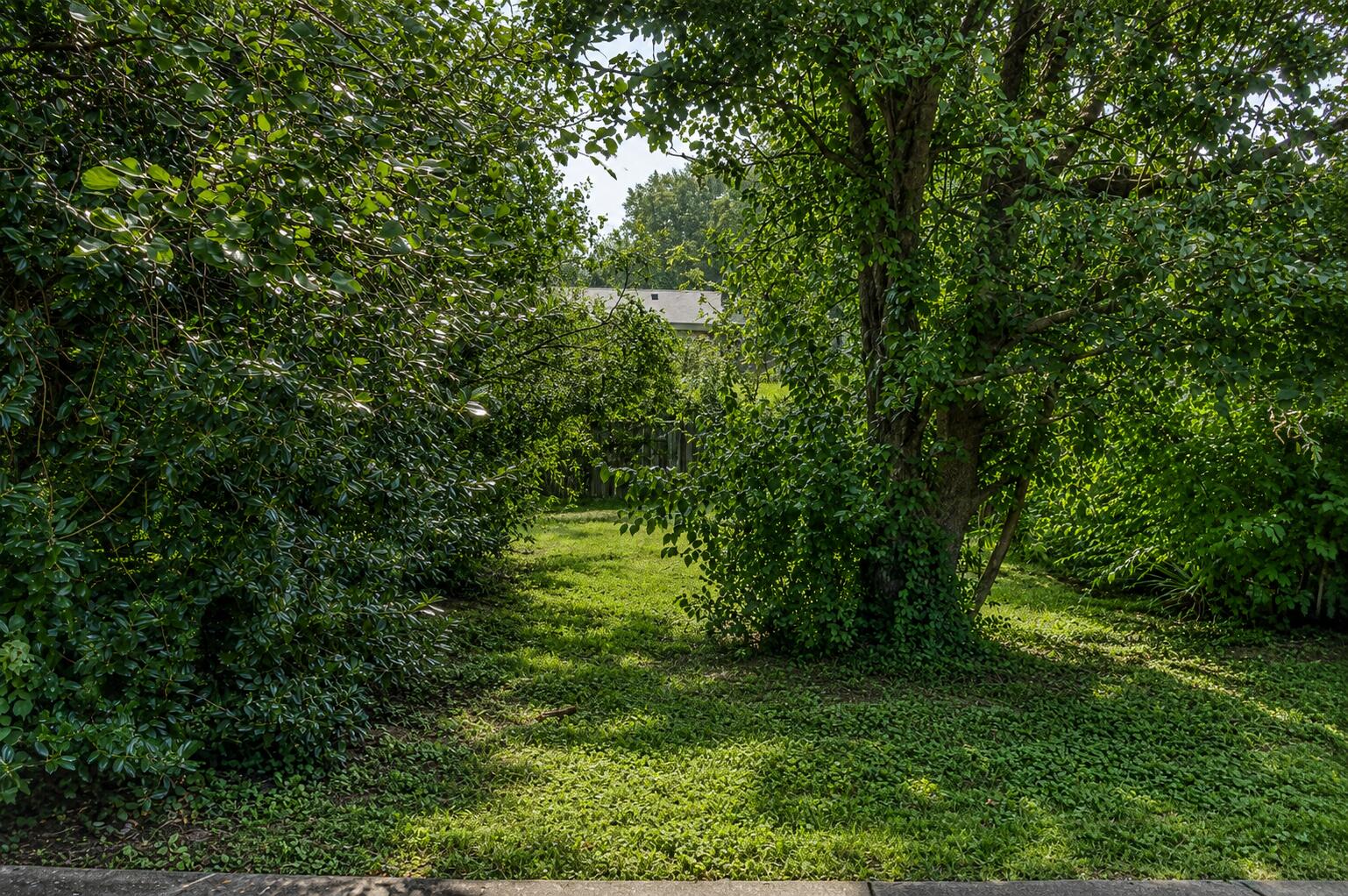 7608 Pintail Drive Property Photo 34