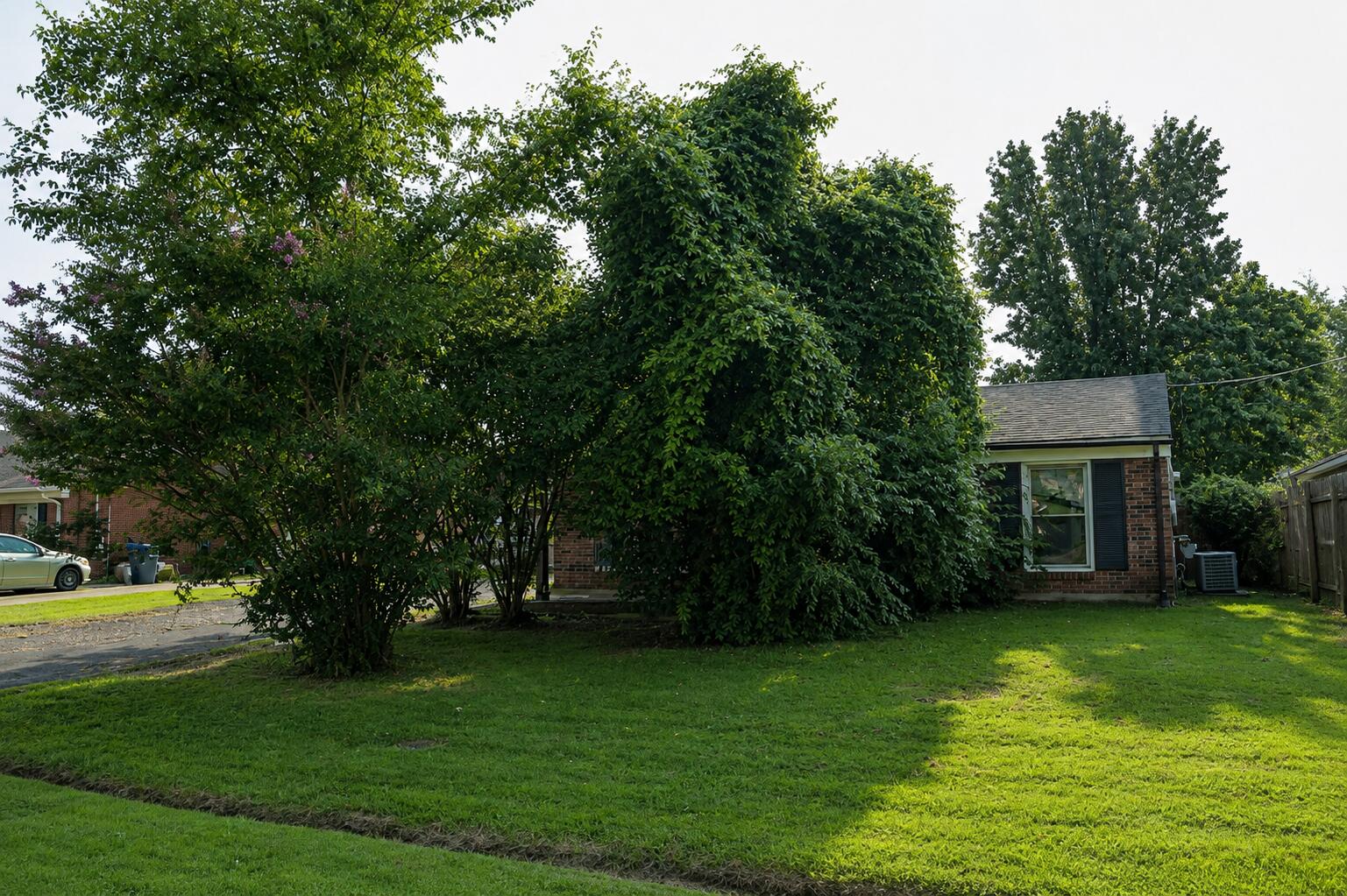 7608 Pintail Drive Property Photo 39