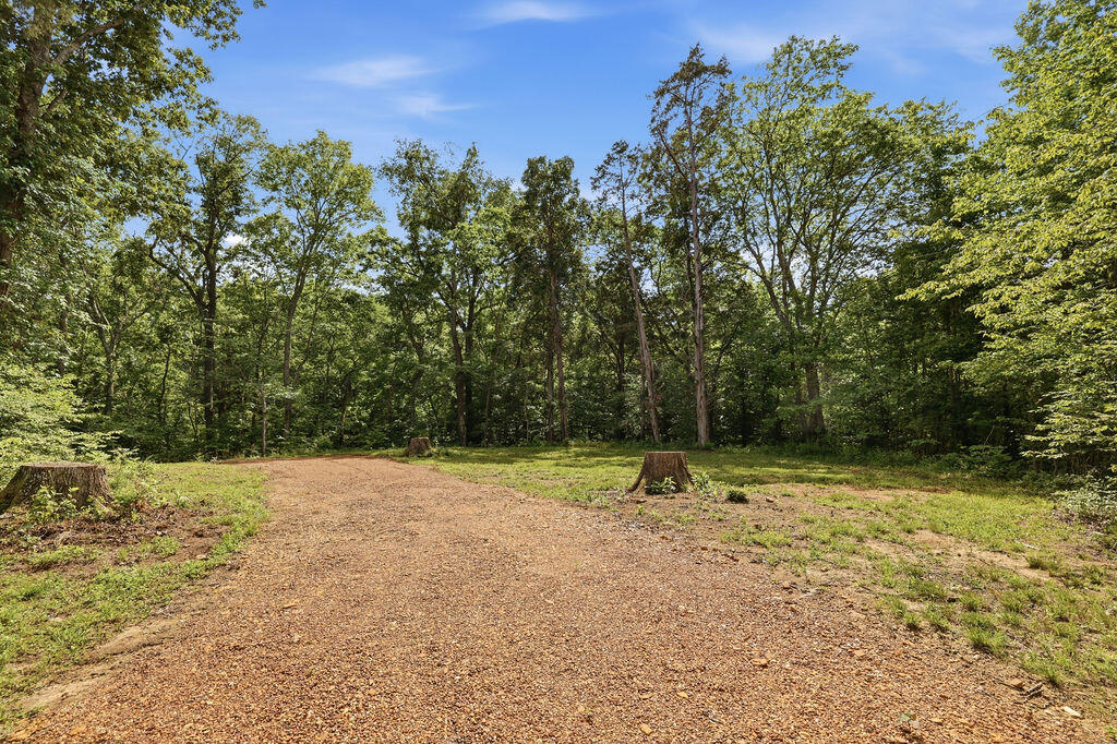 570 Bobcat Trail Property Photo 48