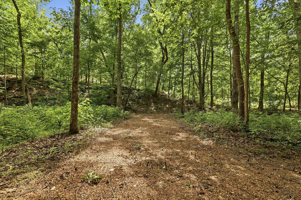 570 Bobcat Trail Property Photo 49