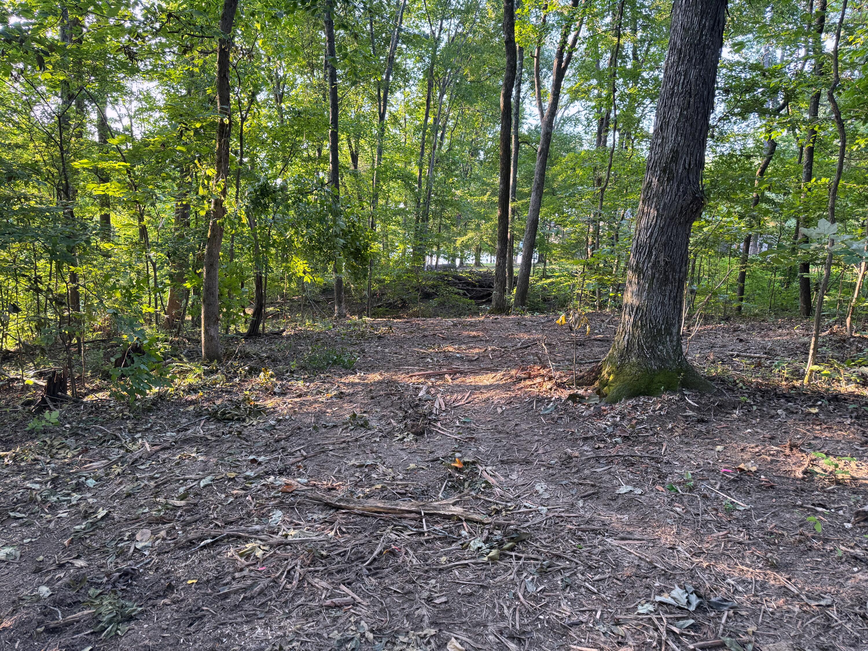 570 Bobcat Trail Property Photo 66