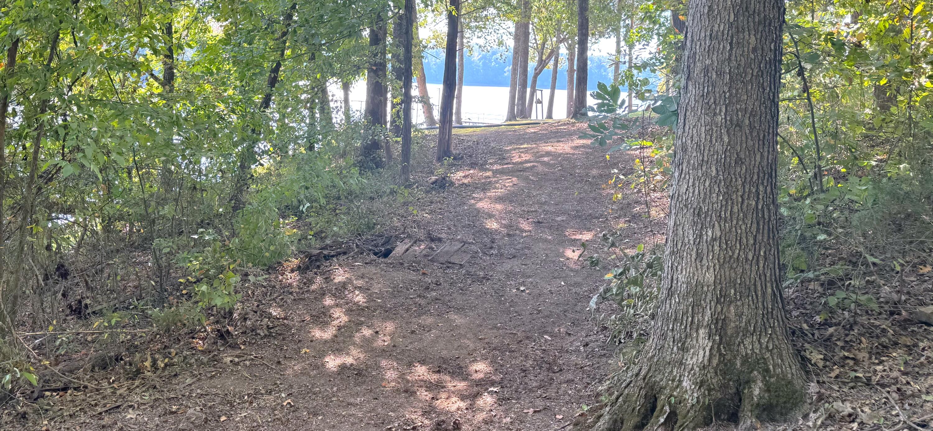 570 Bobcat Trail Property Photo 74