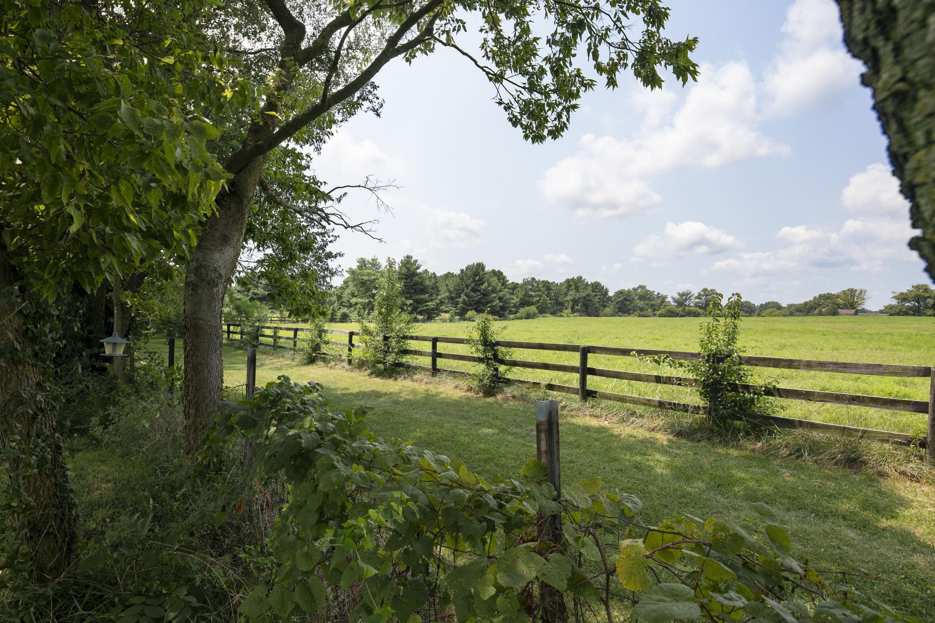 1056 Winding Oak Trail Property Photo 4