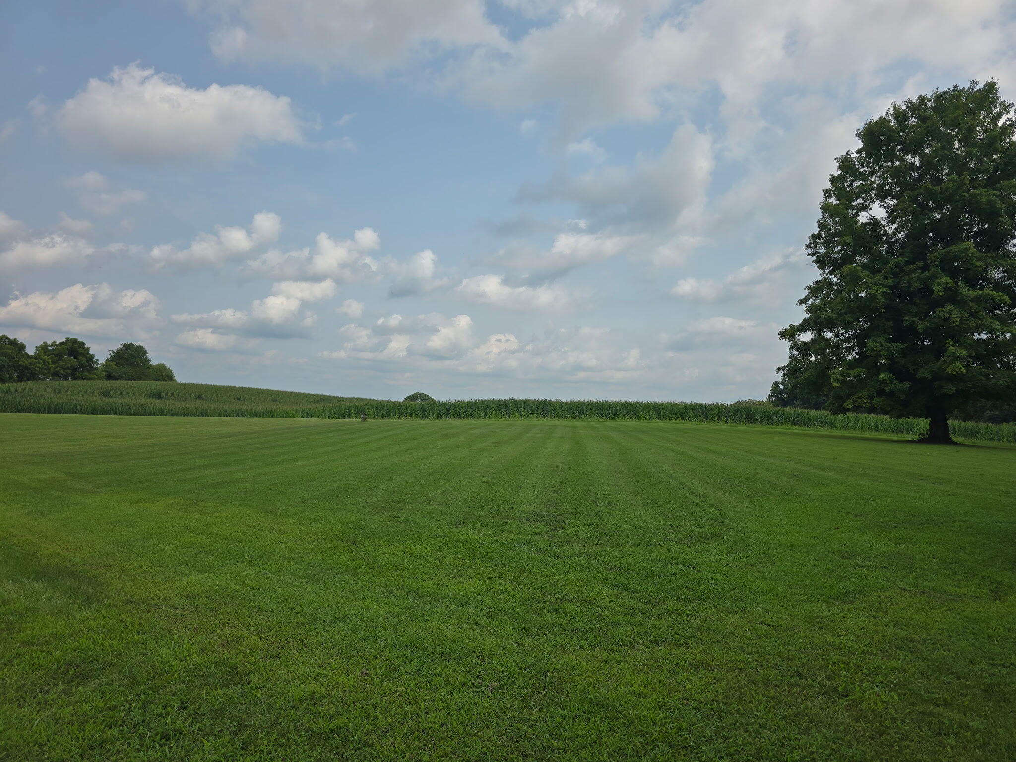 8243 Ky-1676 Property Photo 44
