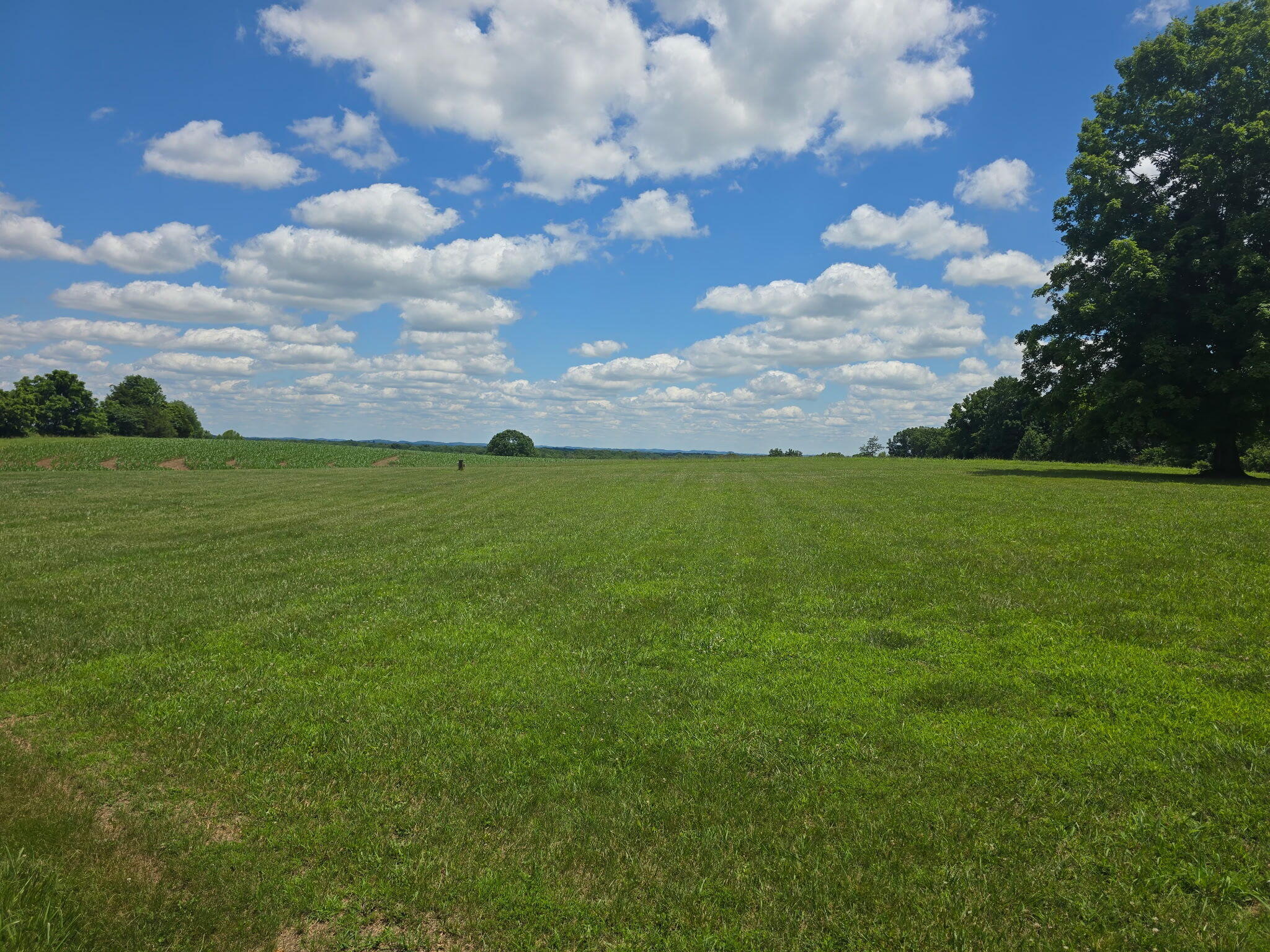 8243 Ky-1676 Property Photo 45