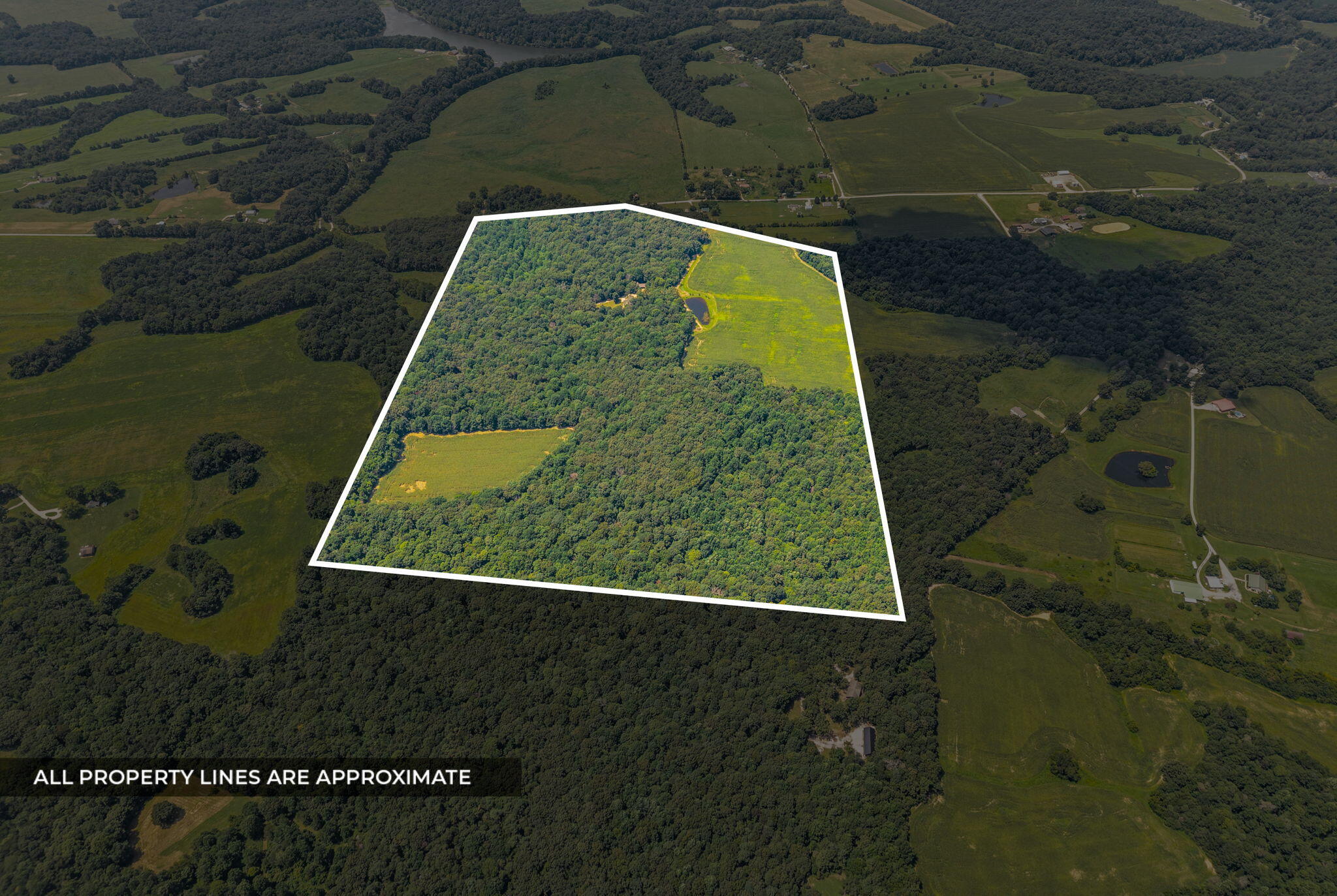11544 Johnson Mill Road Property Photo 6
