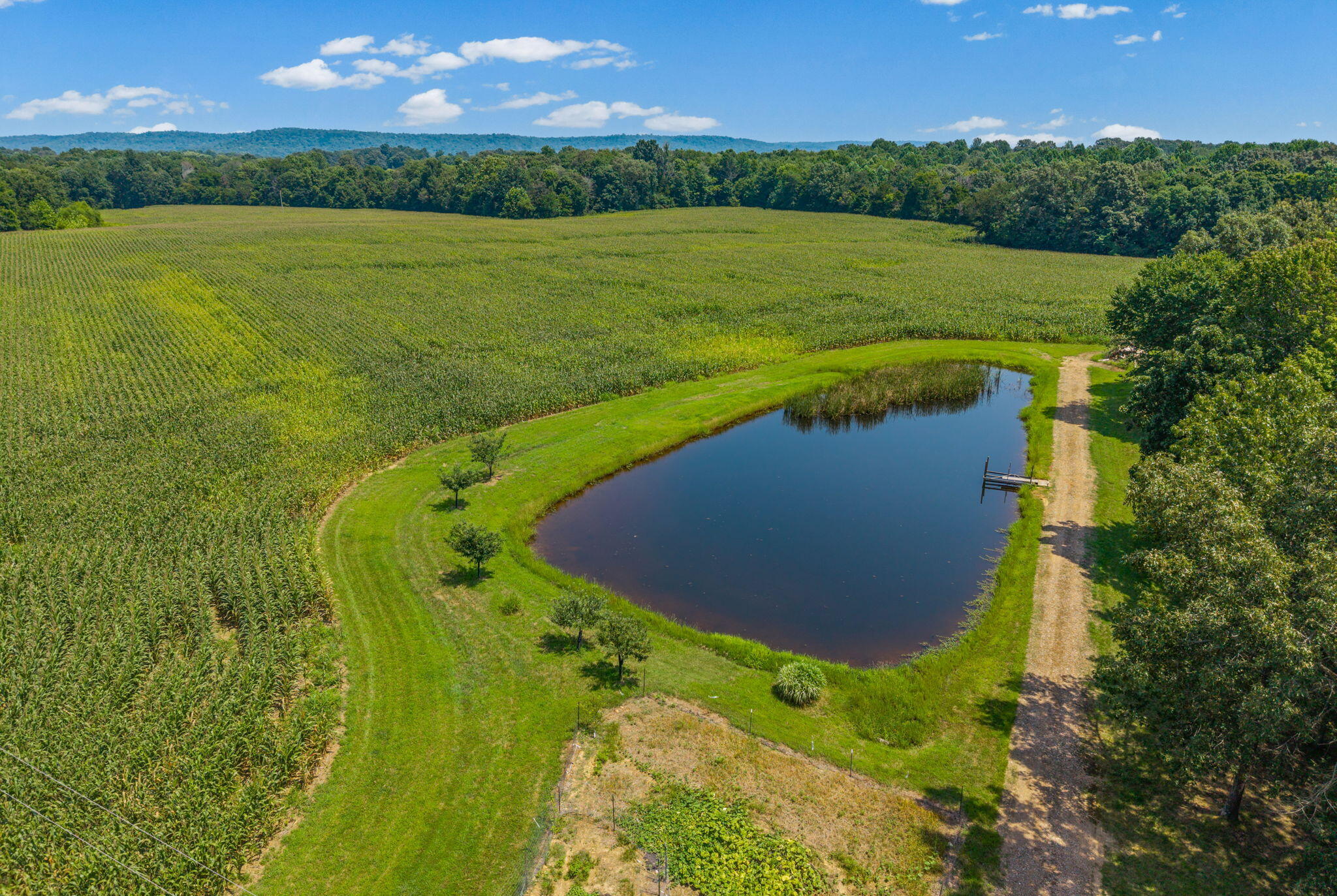 11544 Johnson Mill Road Property Photo 49