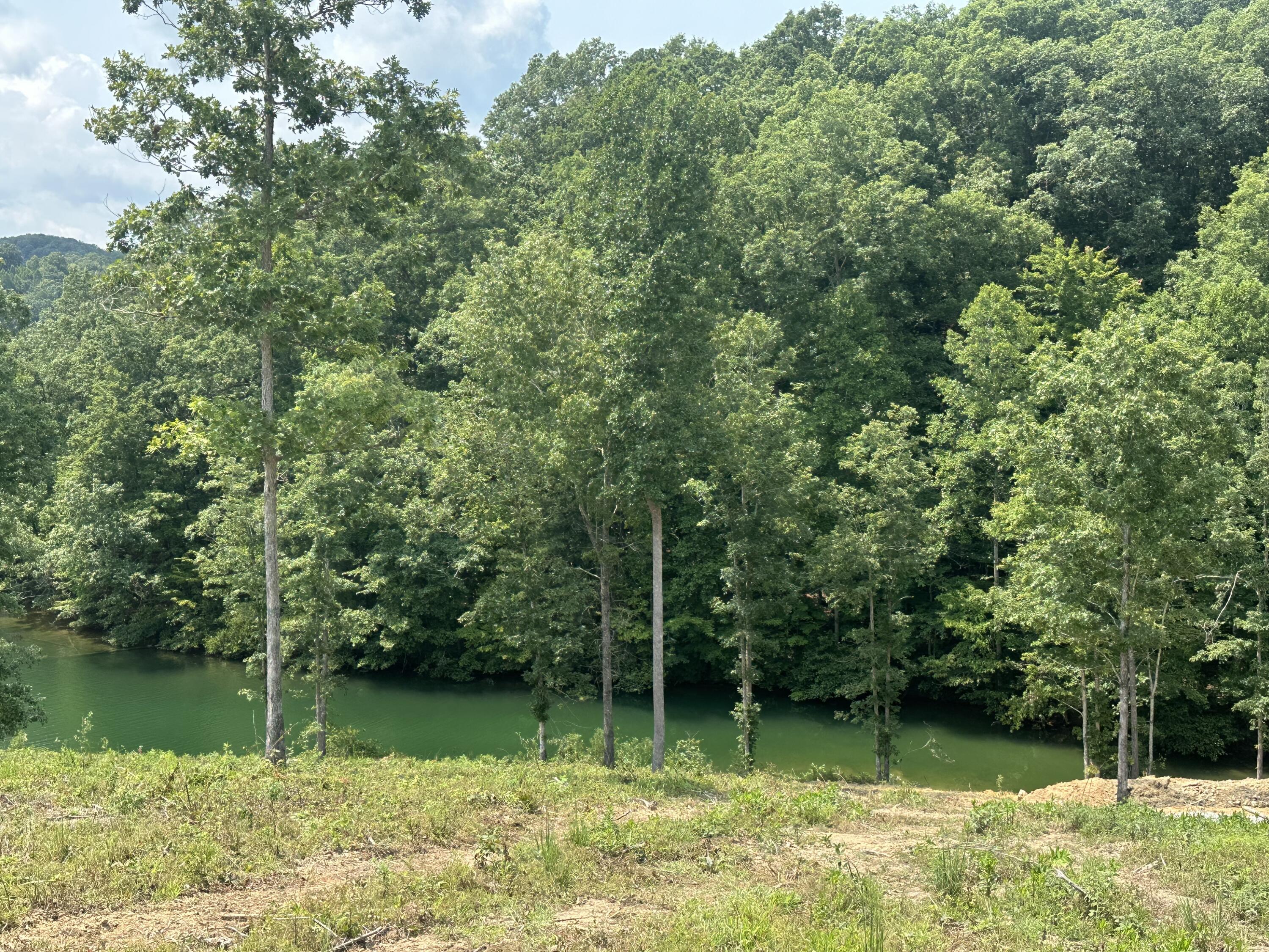 1201 Sleepy Hollow Road Lot 28/29 Property Photo 2