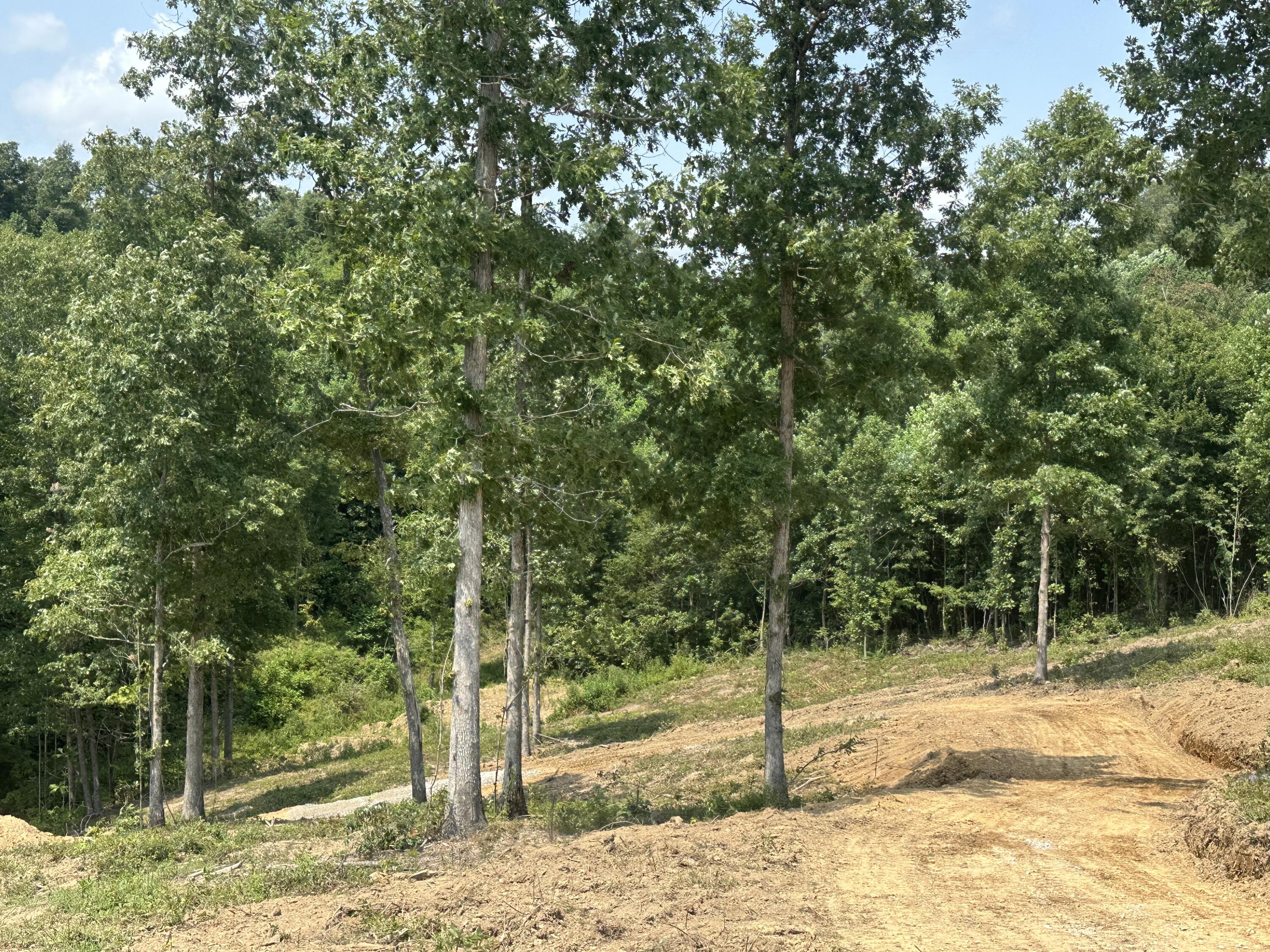 1201 Sleepy Hollow Road Lot 28/29 Property Photo 4
