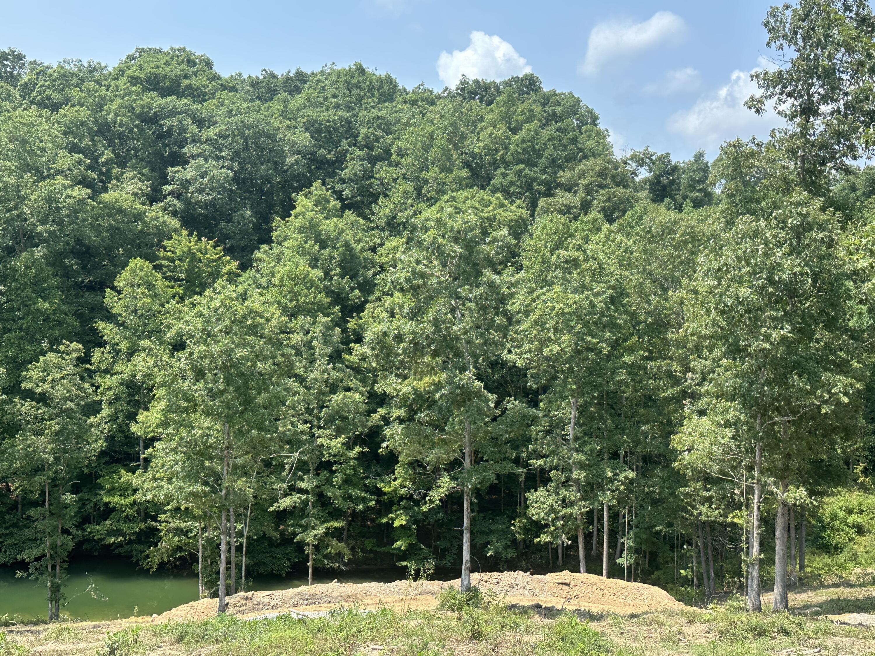 1201 Sleepy Hollow Road Lot 28/29 Property Photo 5