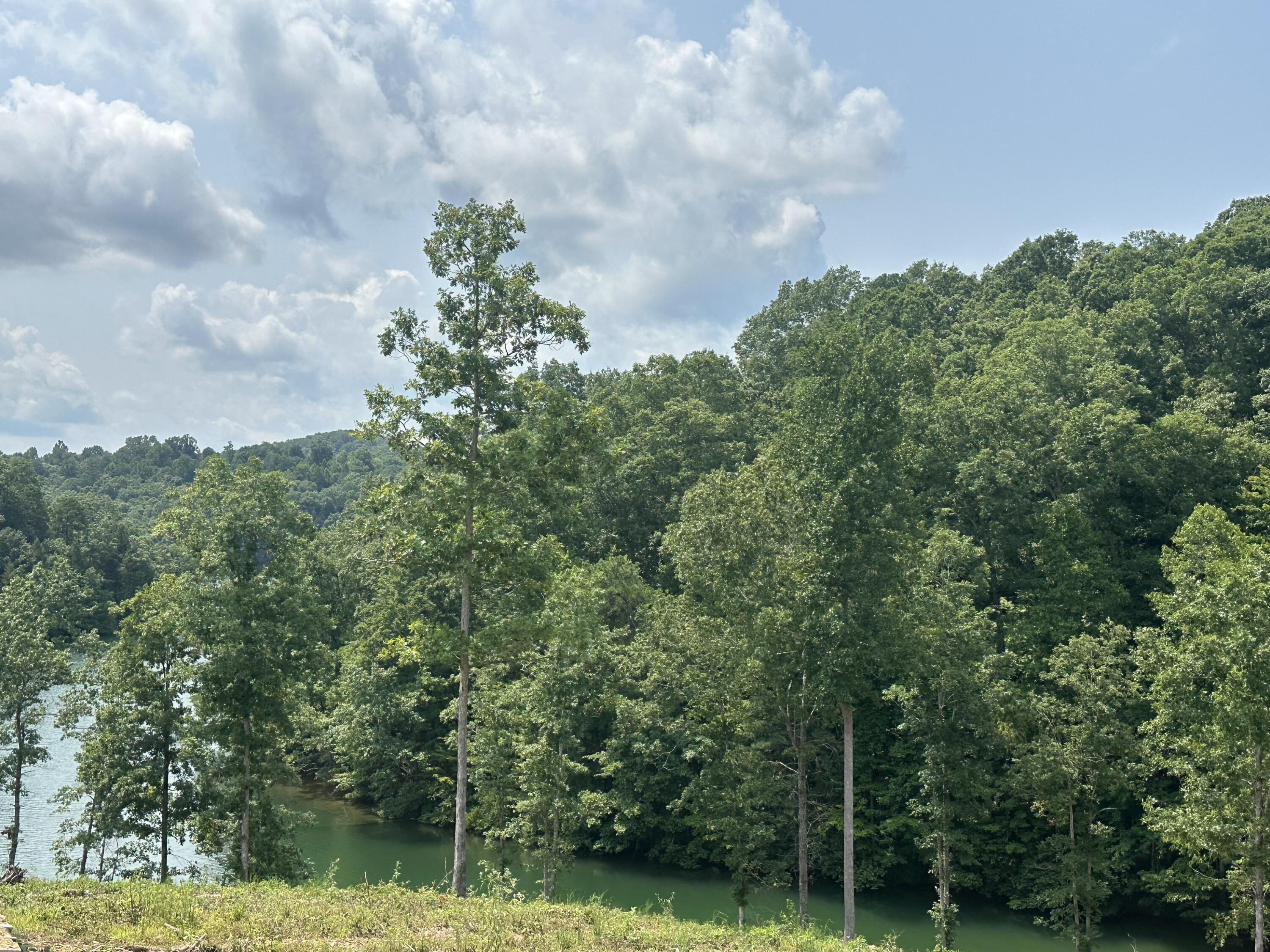 1201 Sleepy Hollow Road Lot 28/29 Property Photo 7